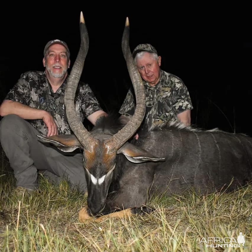 Nyala Hunt South Africa