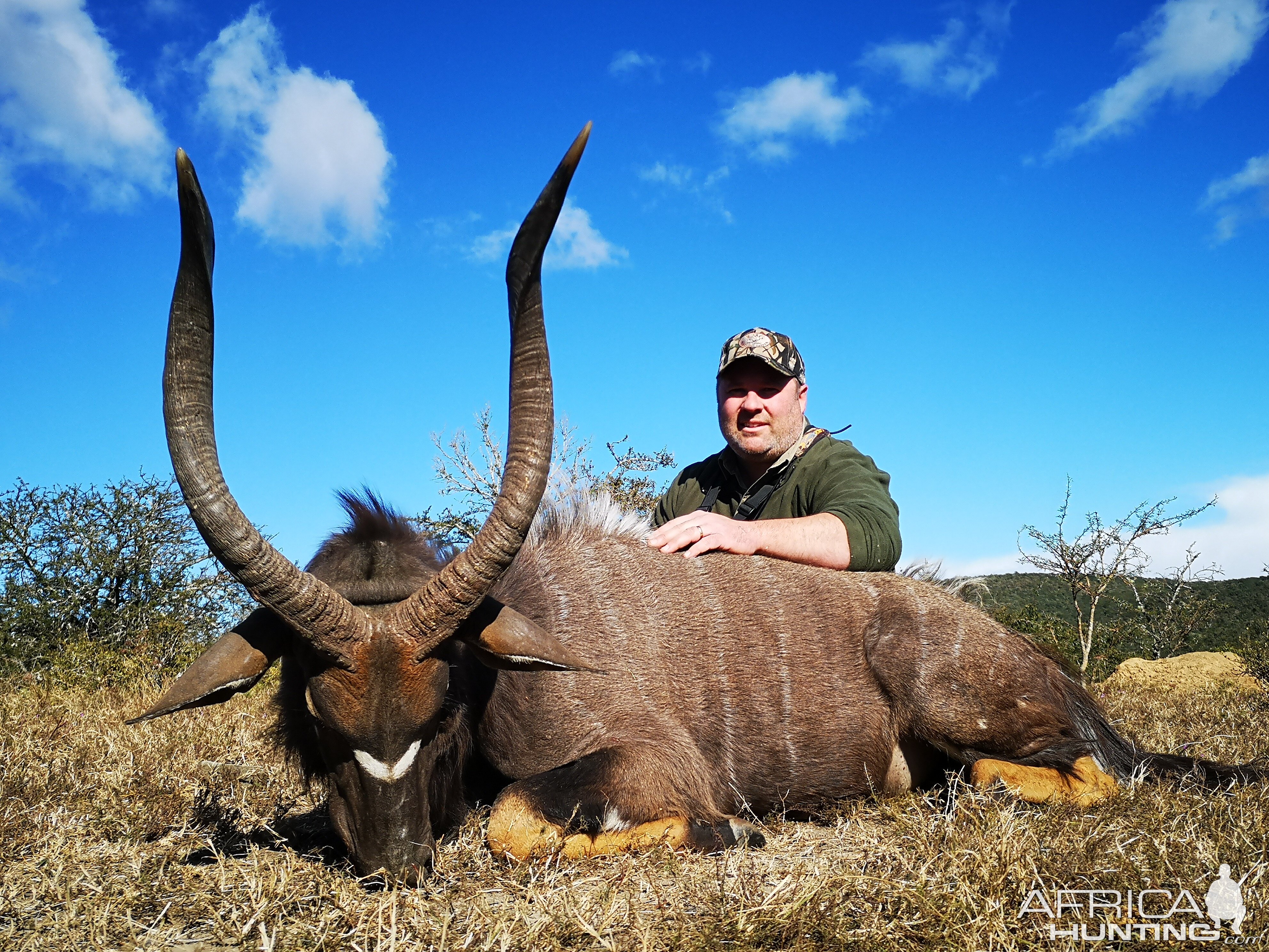 Nyala Hunt South Africa