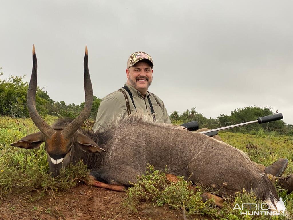 Nyala Hunt South Africa