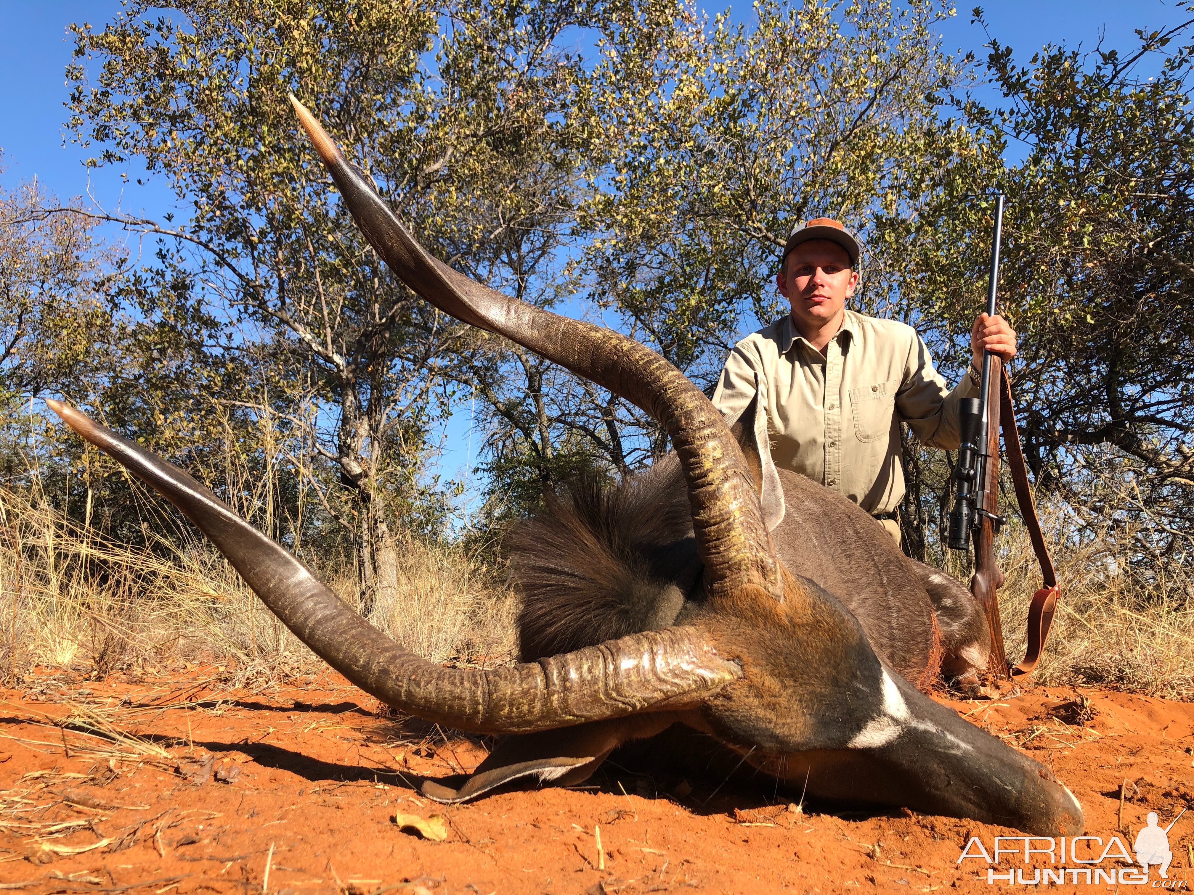 Nyala Hunt