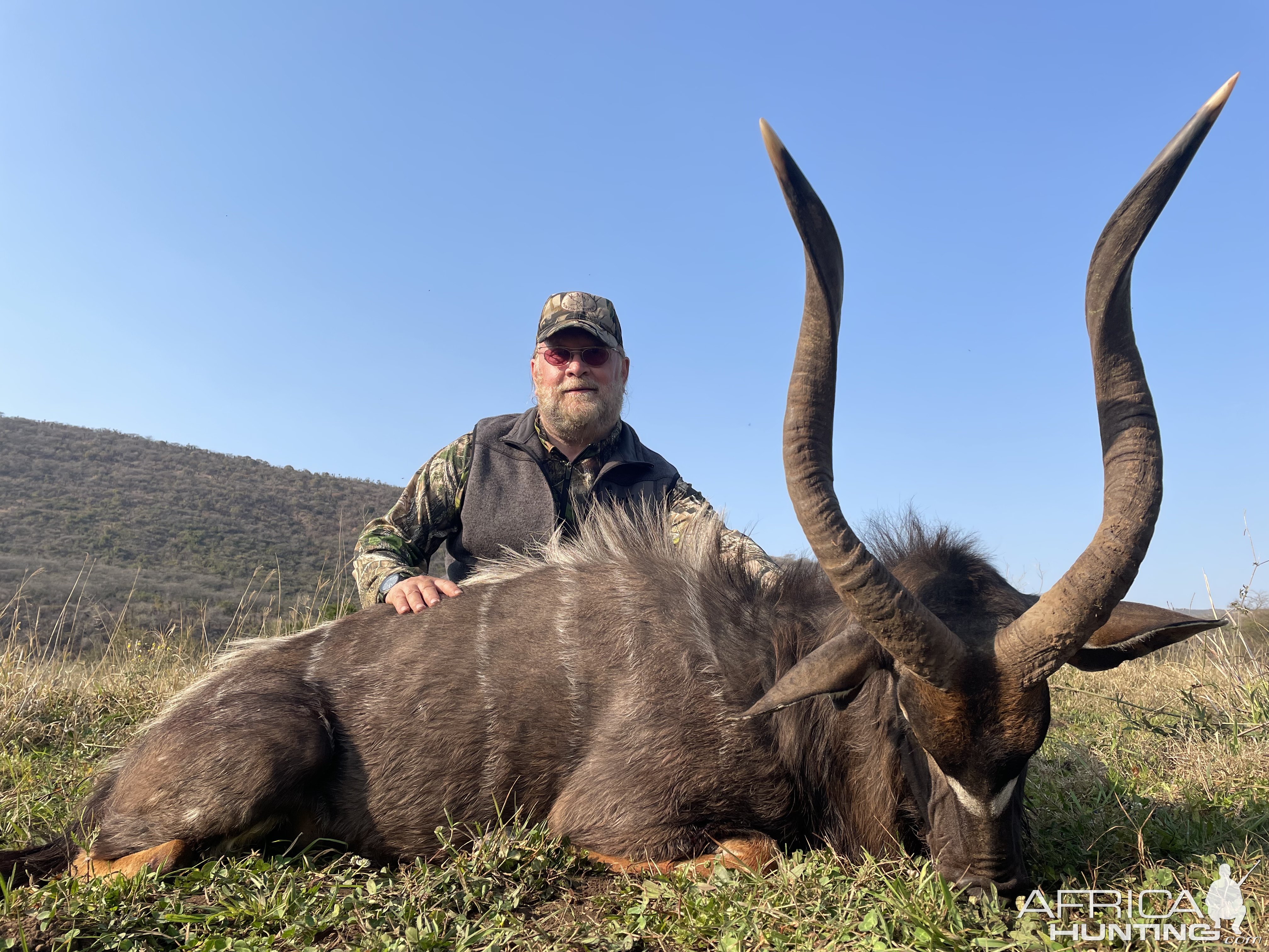 Nyala Hunting Eastern Cape South Africa