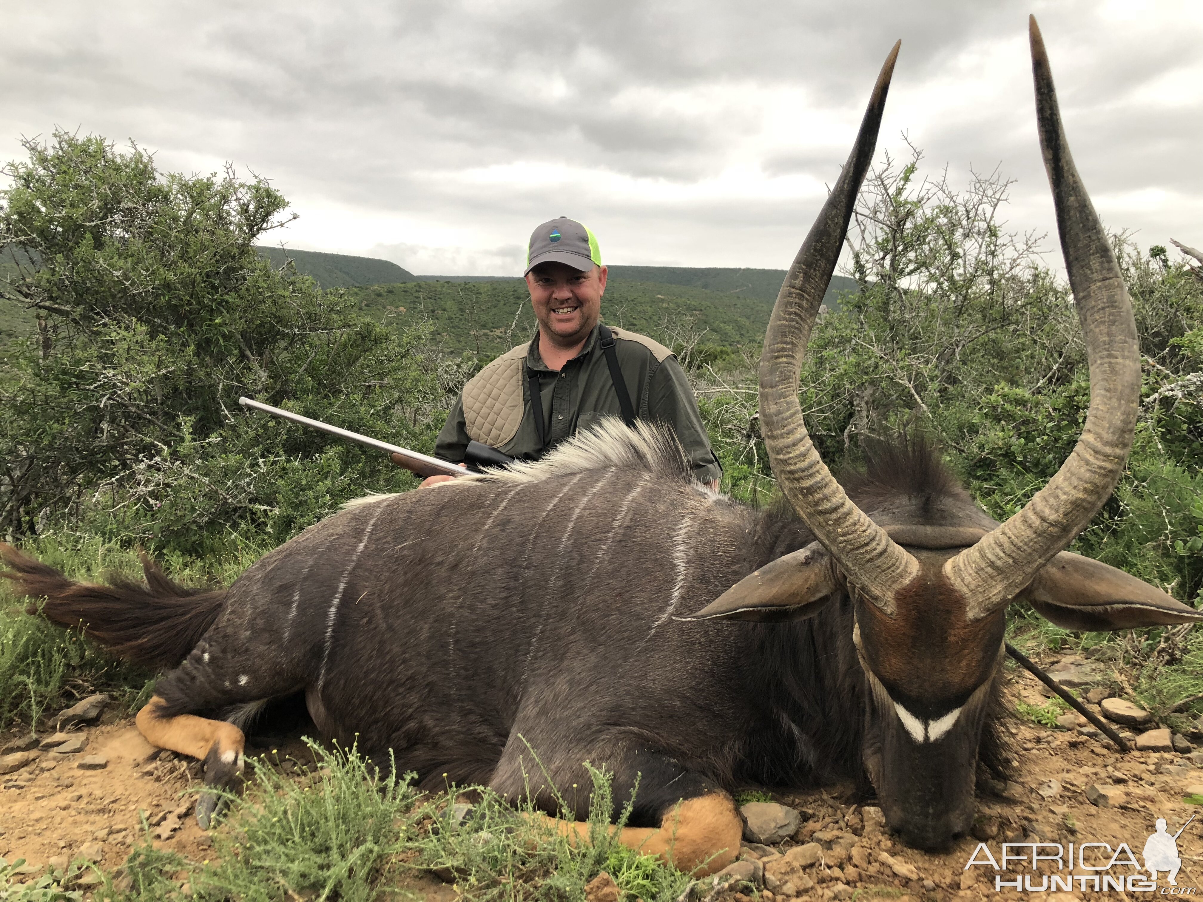 Nyala Hunting in South Africa