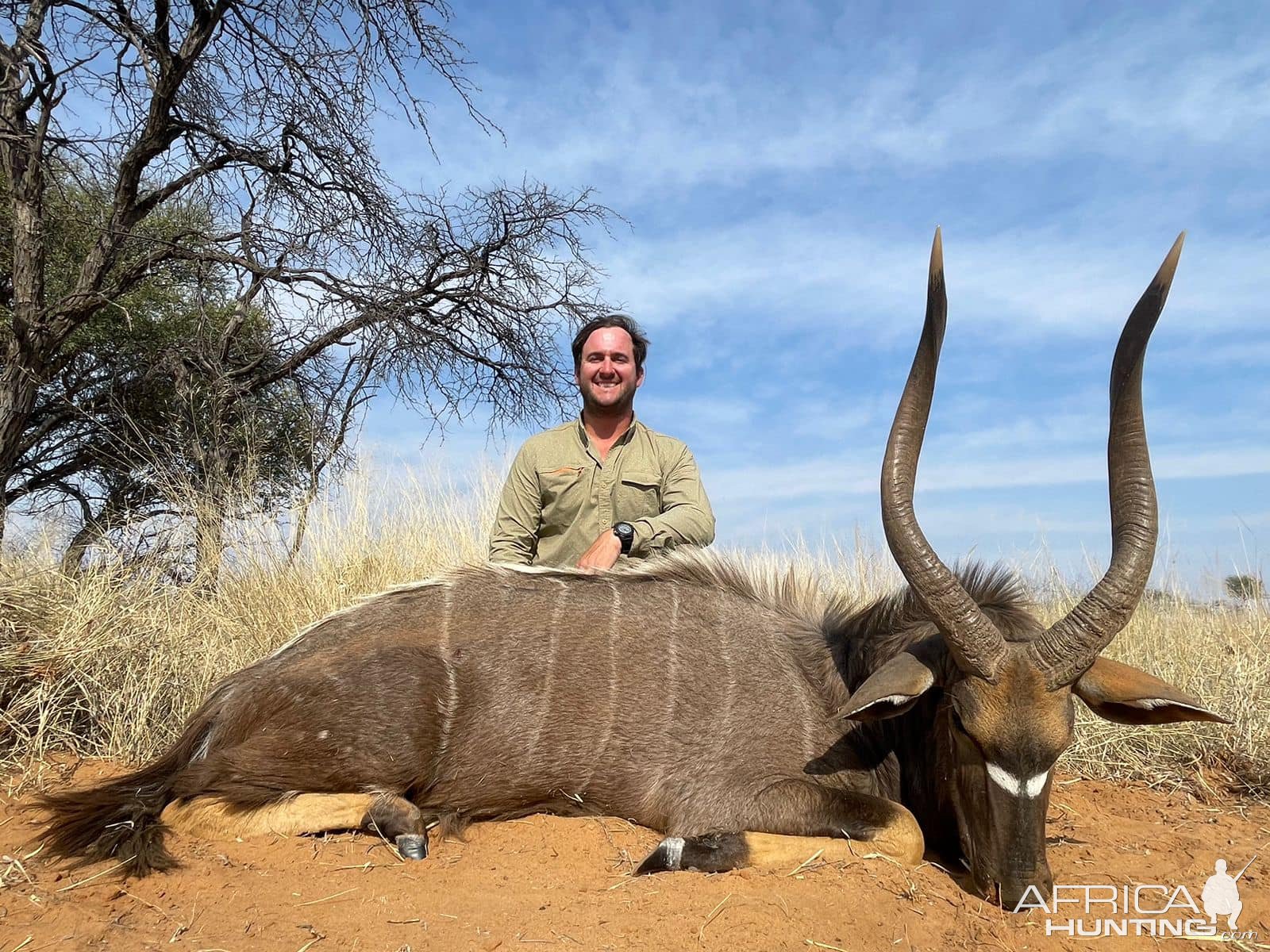 Nyala Hunting Kalahari South Africa