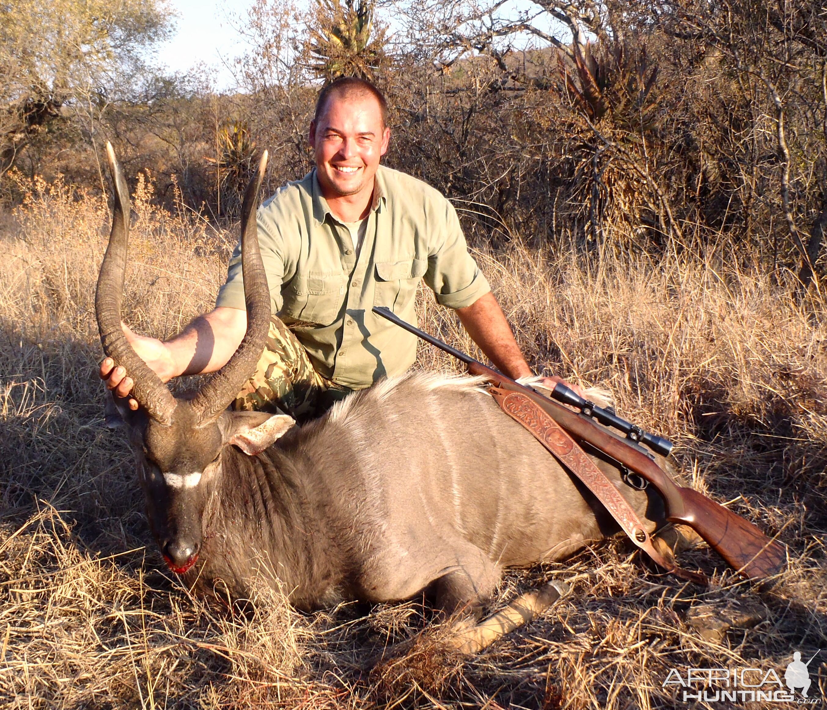 Nyala Hunting Namibia