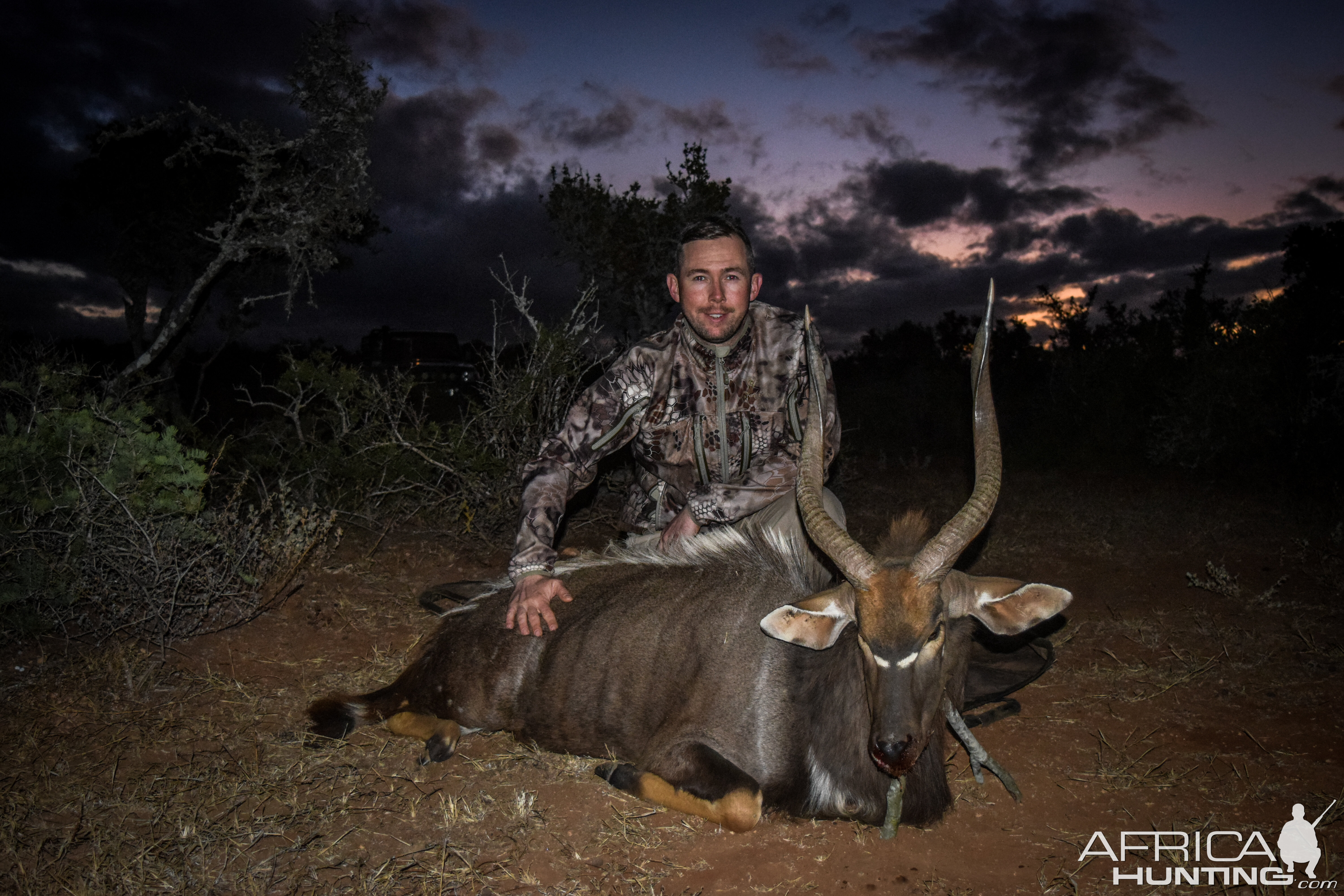 Nyala Hunting South Africa