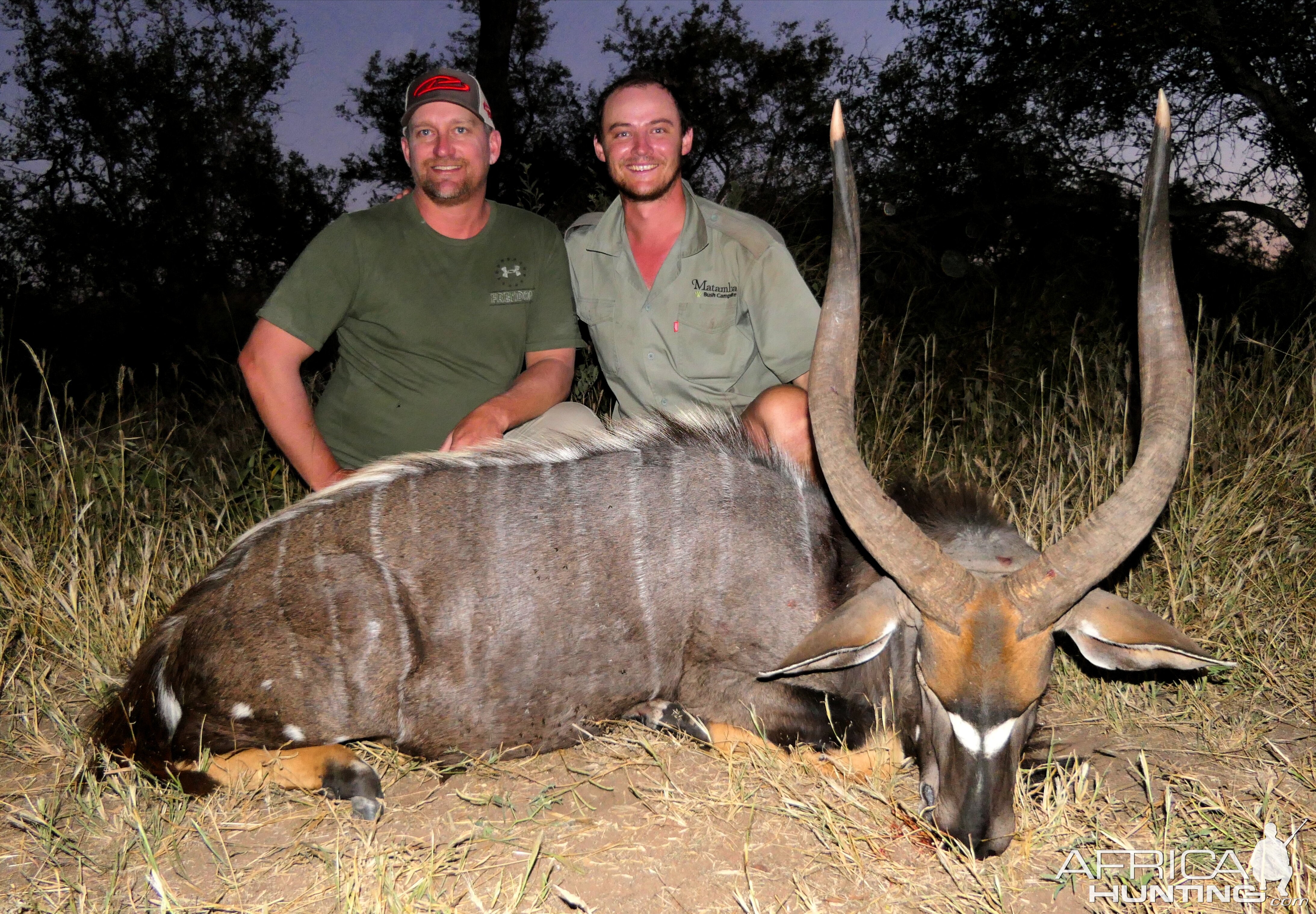 Nyala Hunting South Africa