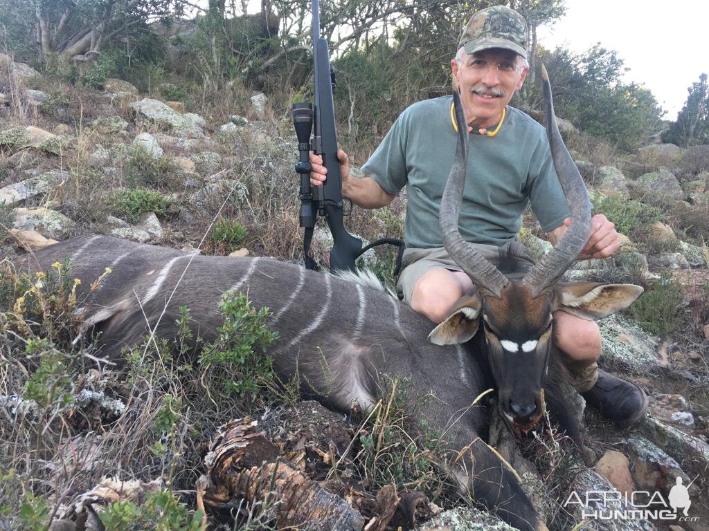 Nyala Hunting South Africa