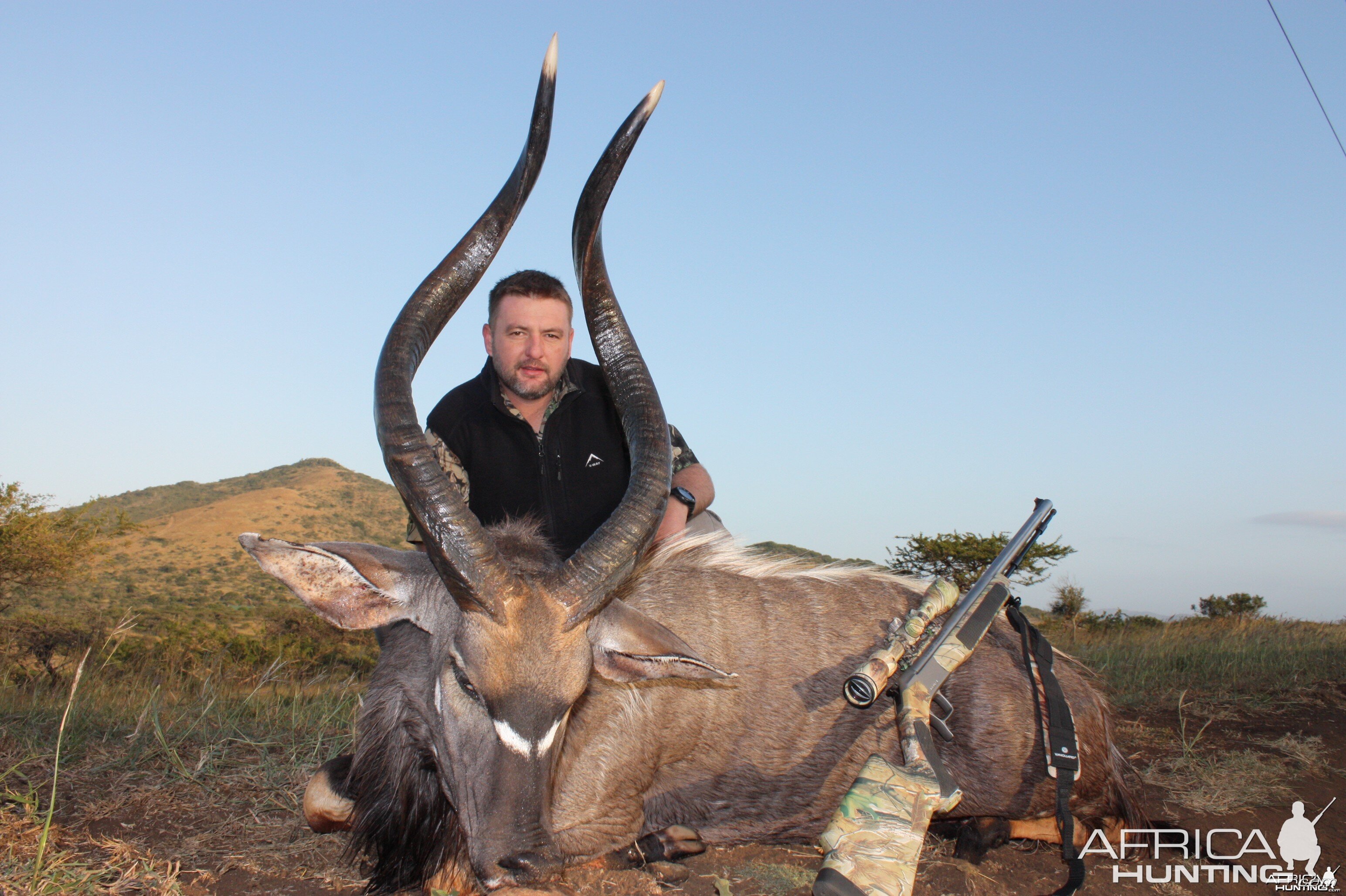 Nyala - KZN - South Africa