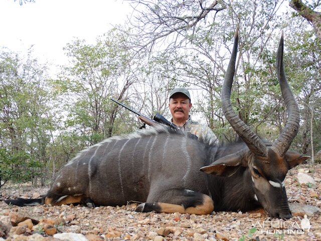 Nyala South Africa Hunt