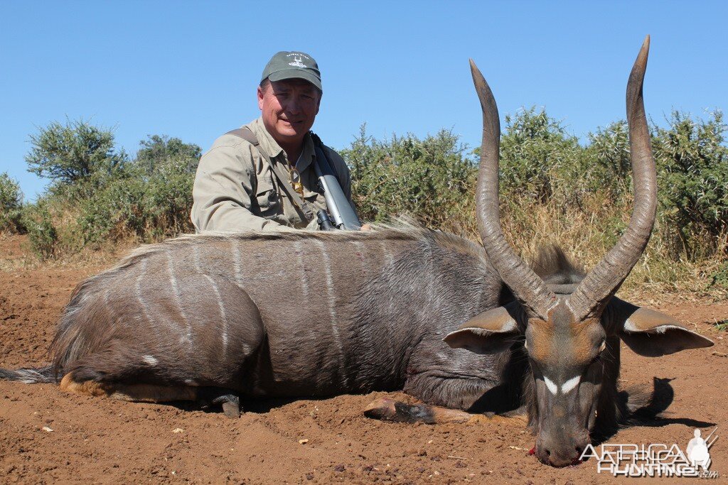 Nyala