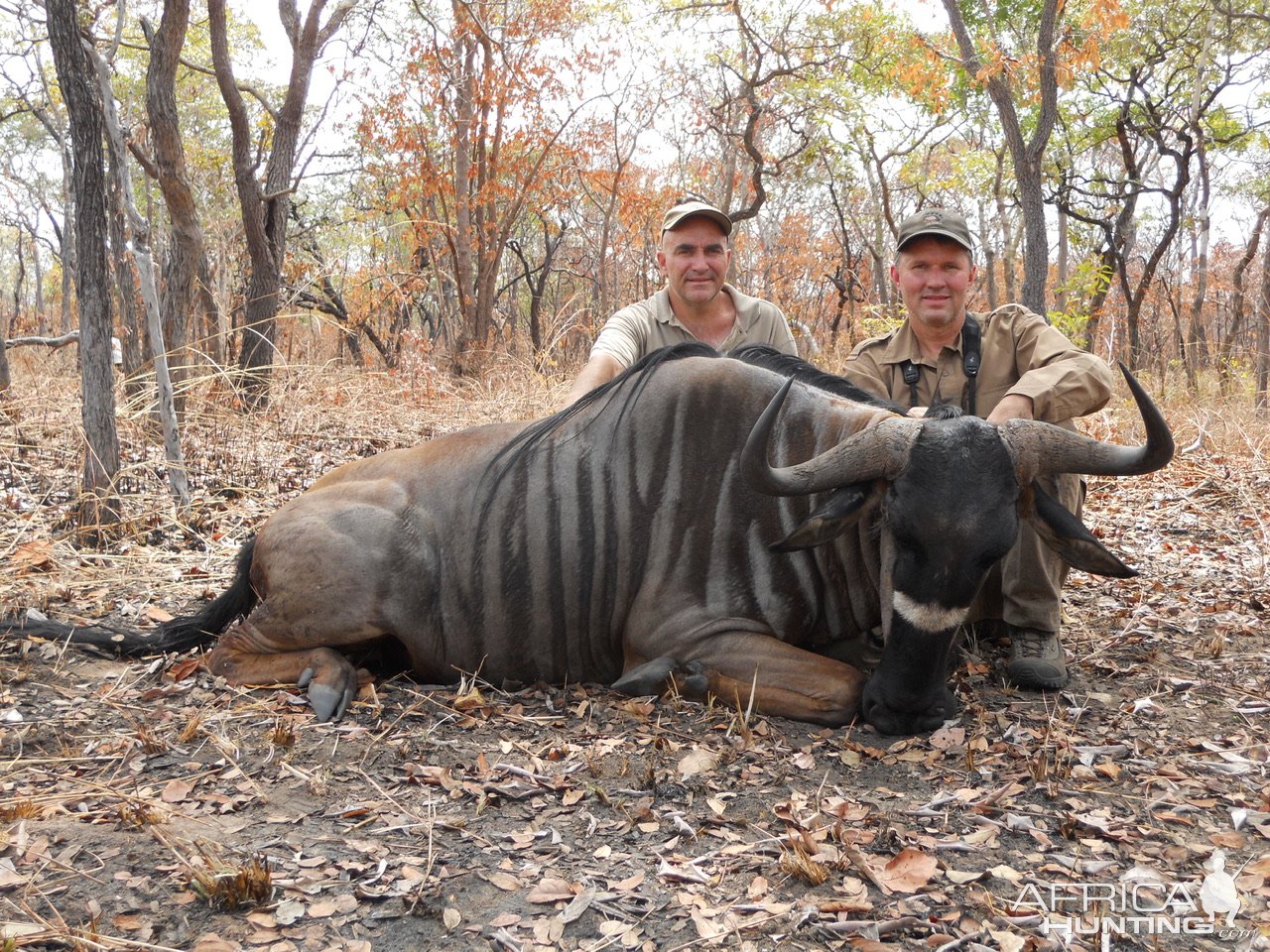 Nyasa Wildebeest Hunting Mozambique