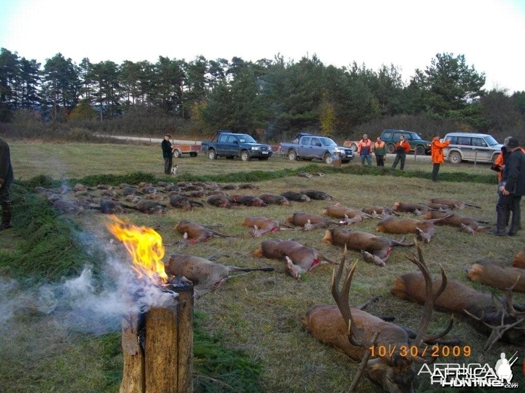 OCT Bavarian Cull Hunt