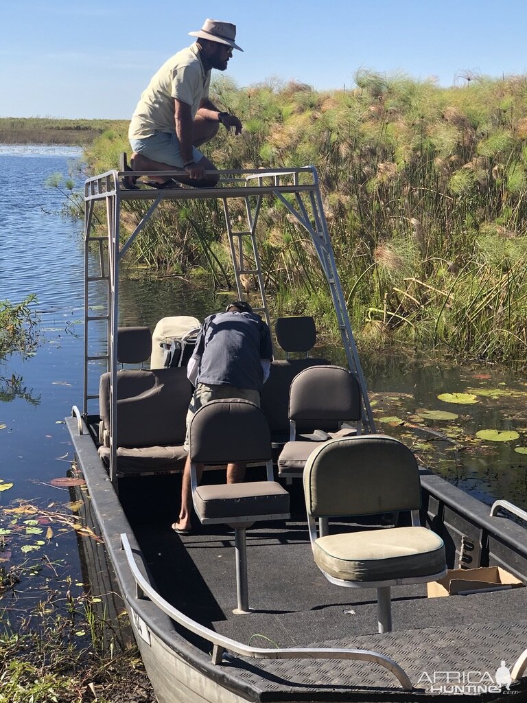 Okavango Delta Nature Botswana