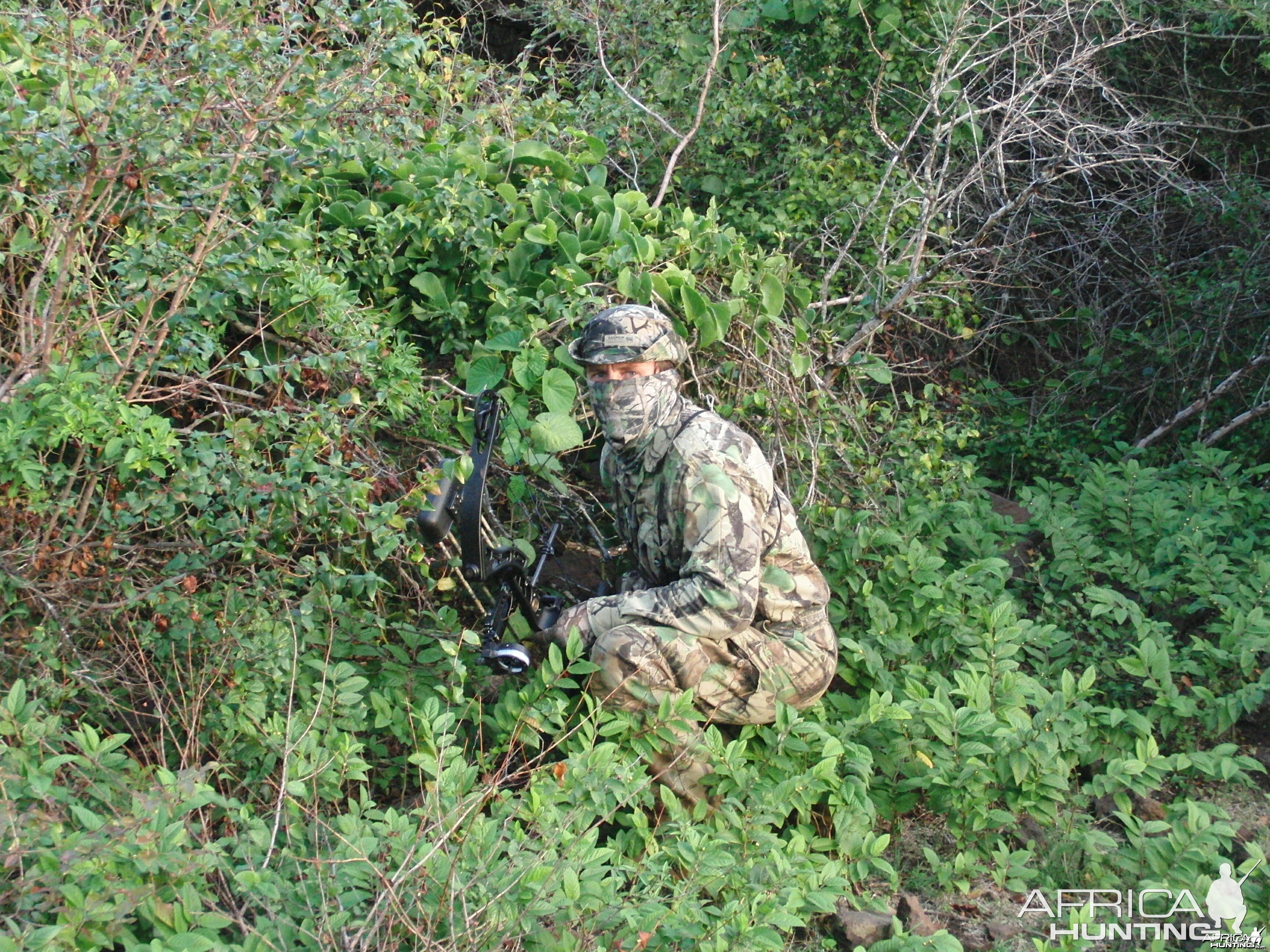 On the stalk in Mauritius with Le Chasseur Mauricien