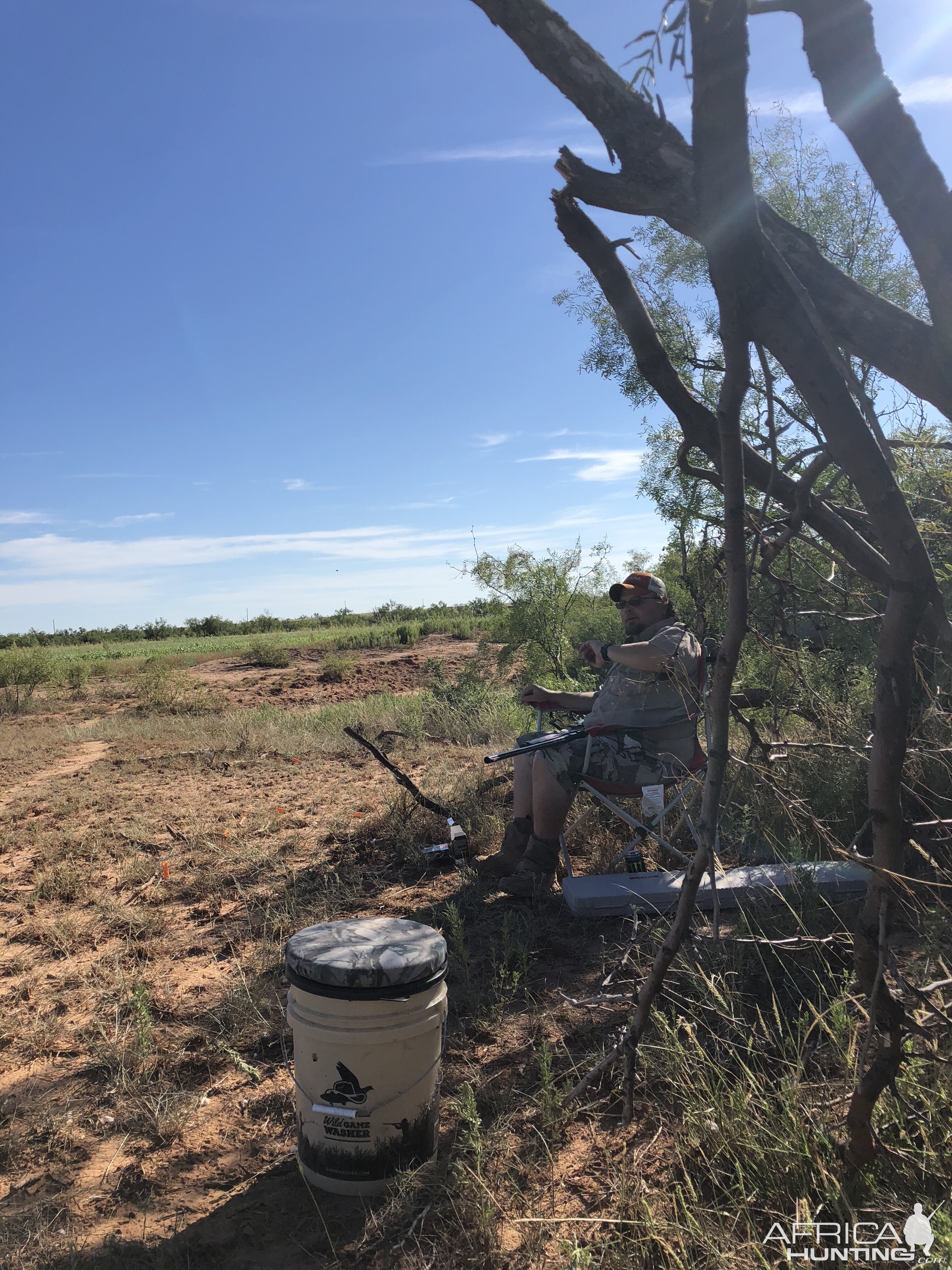 Opening Weekend Dove Hunt