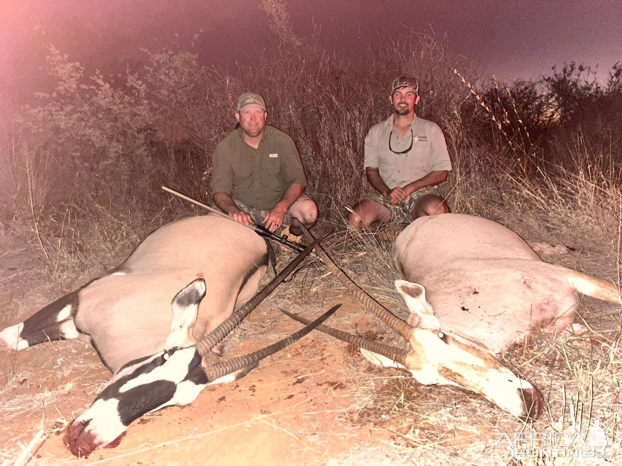 Oryx & Golden Oryx Hunt South Africa