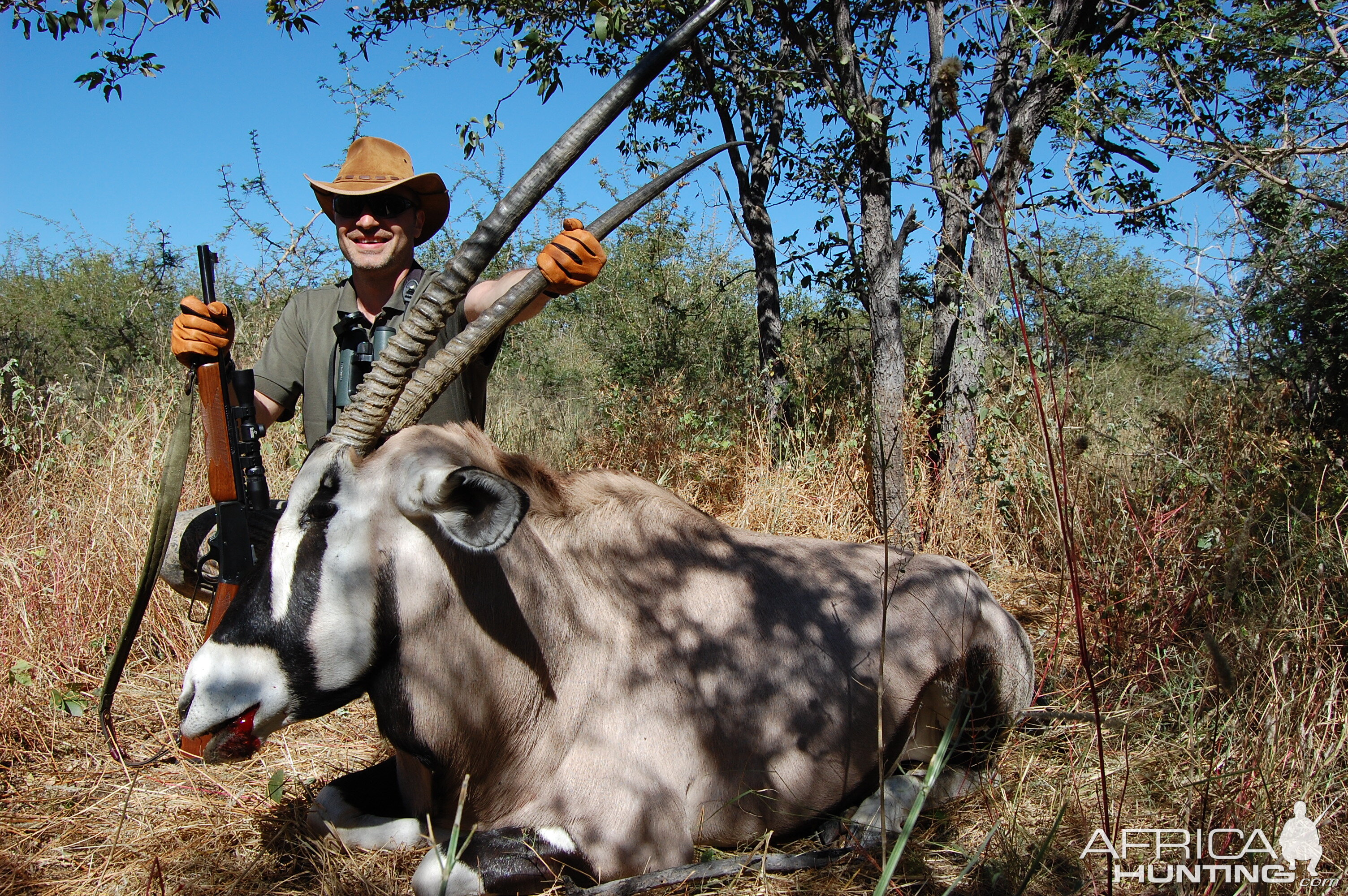 Oryx, Namibia 2008