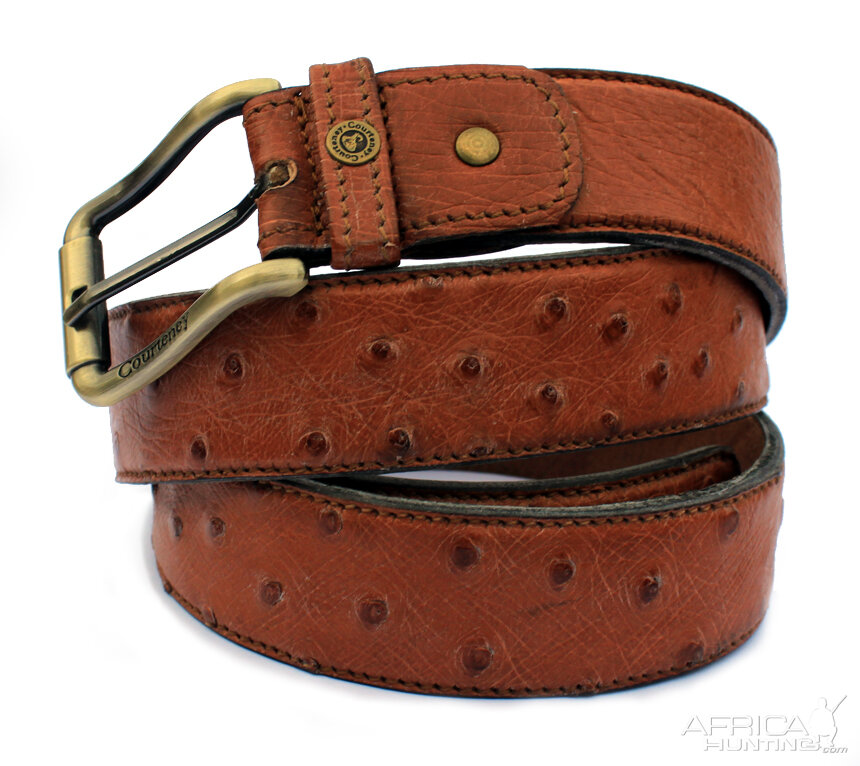 Ostrich Belt Courteney from African Sporting Creations