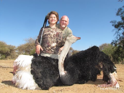 Ostrich Hunt South Africa