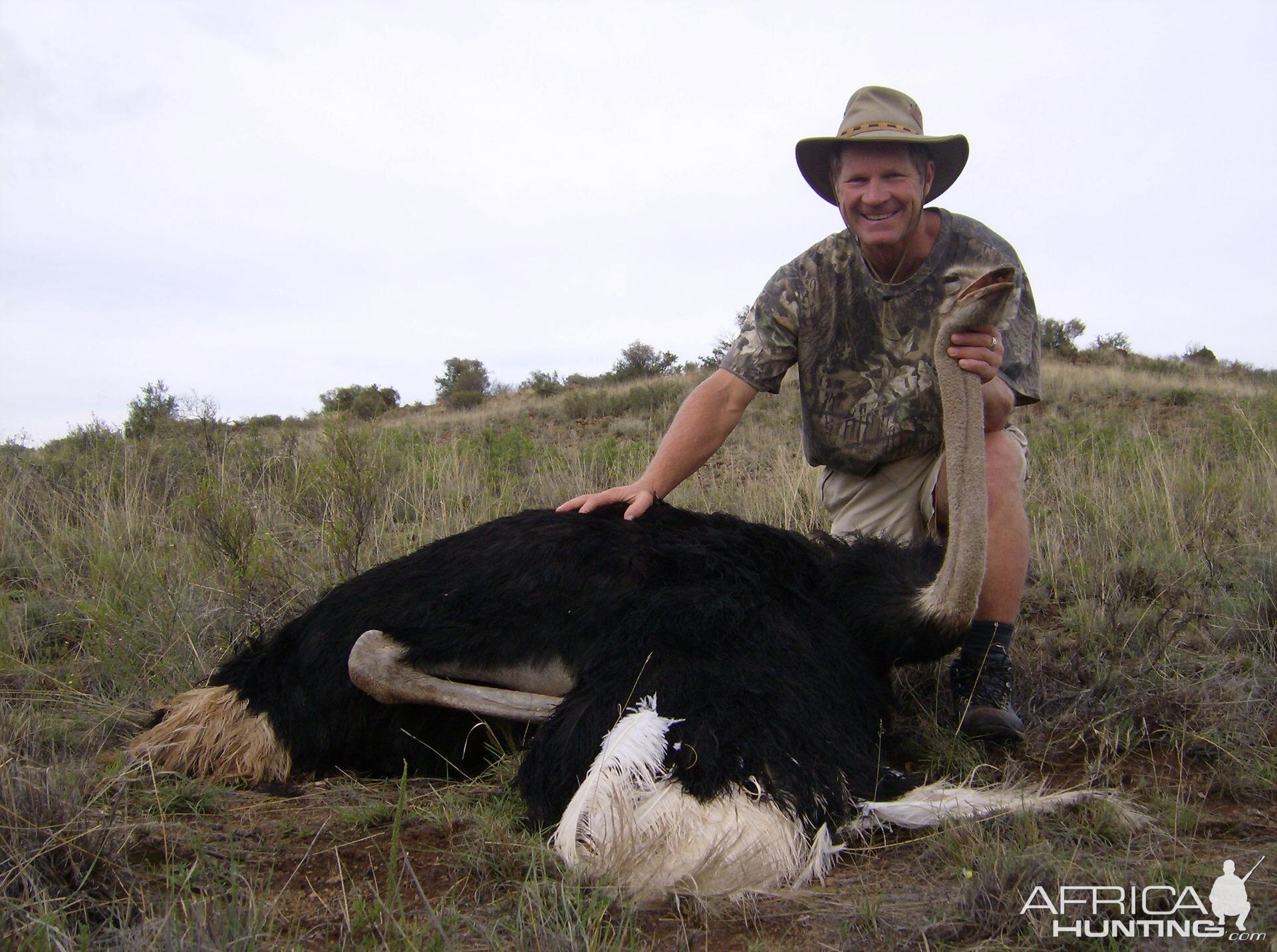 Ostrich hunt South Africa