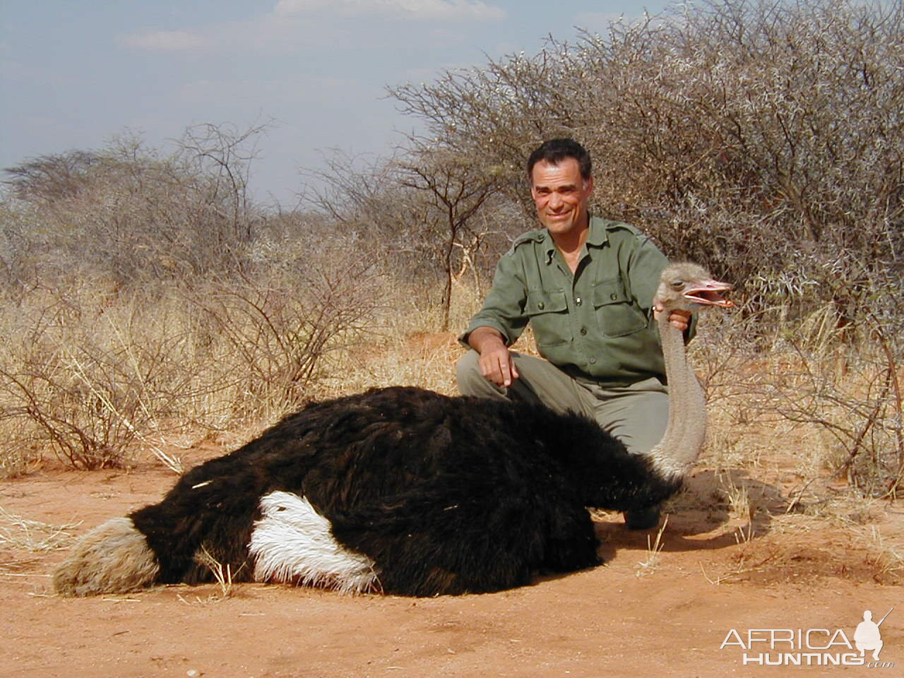 Ostrich Hunting in Namibia