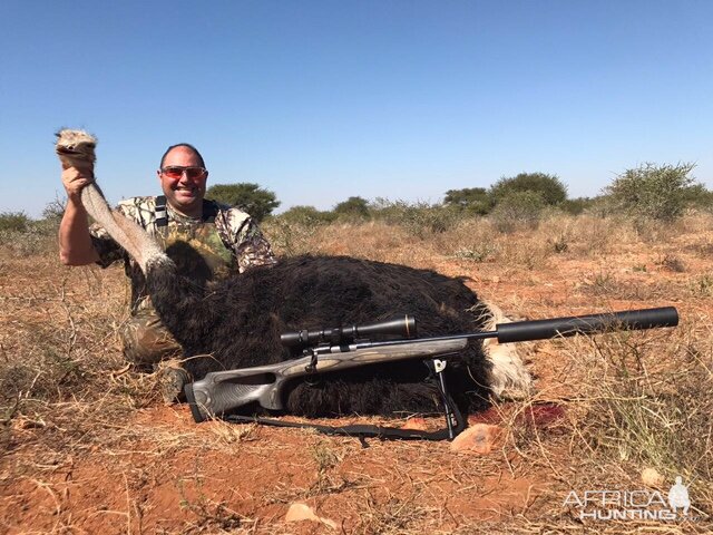 Ostrich South Africa Hunt