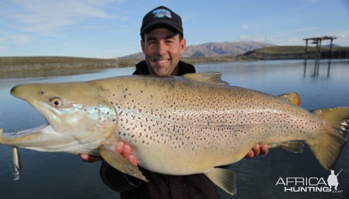 Otago Trout Zealand