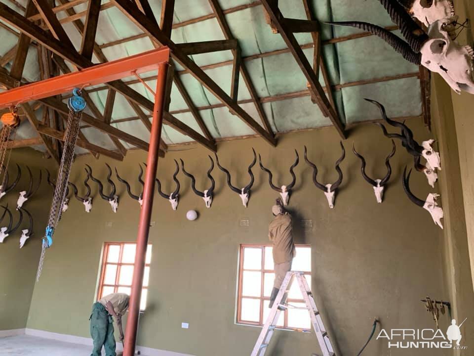 Our skinning room at Mbizi