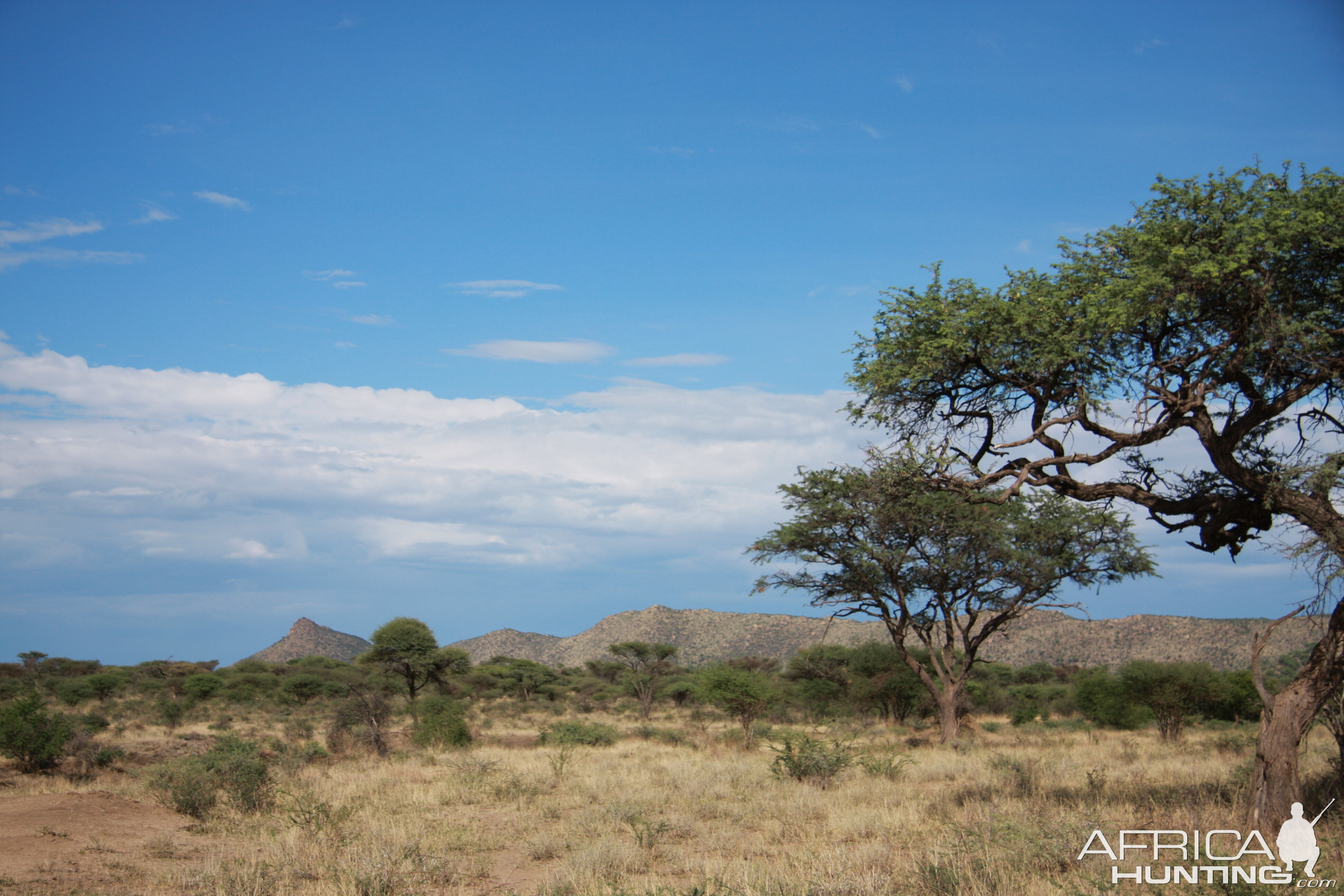 Ozondjahe landscape Namibia