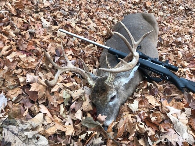 PA Public land whitetail