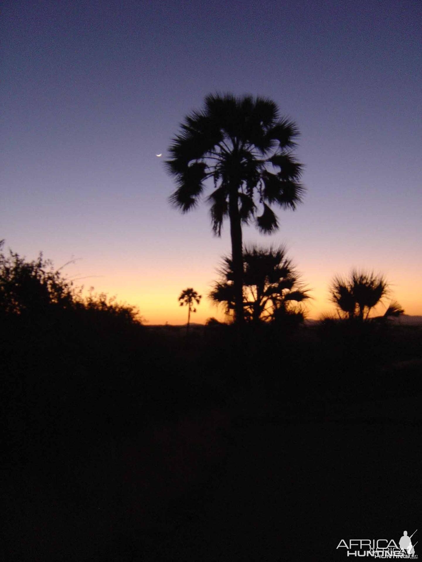 Palmwag Sunset