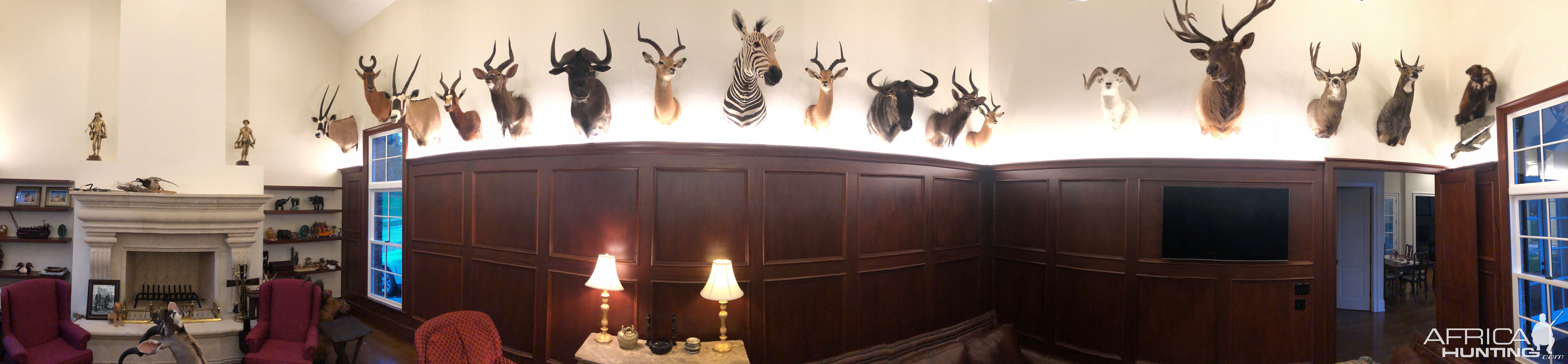 Panoramic of Trophy Room