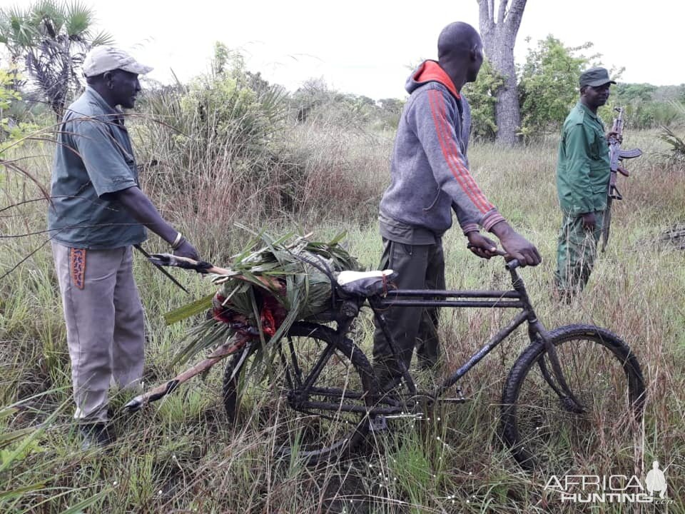 Pictures of Tanzania