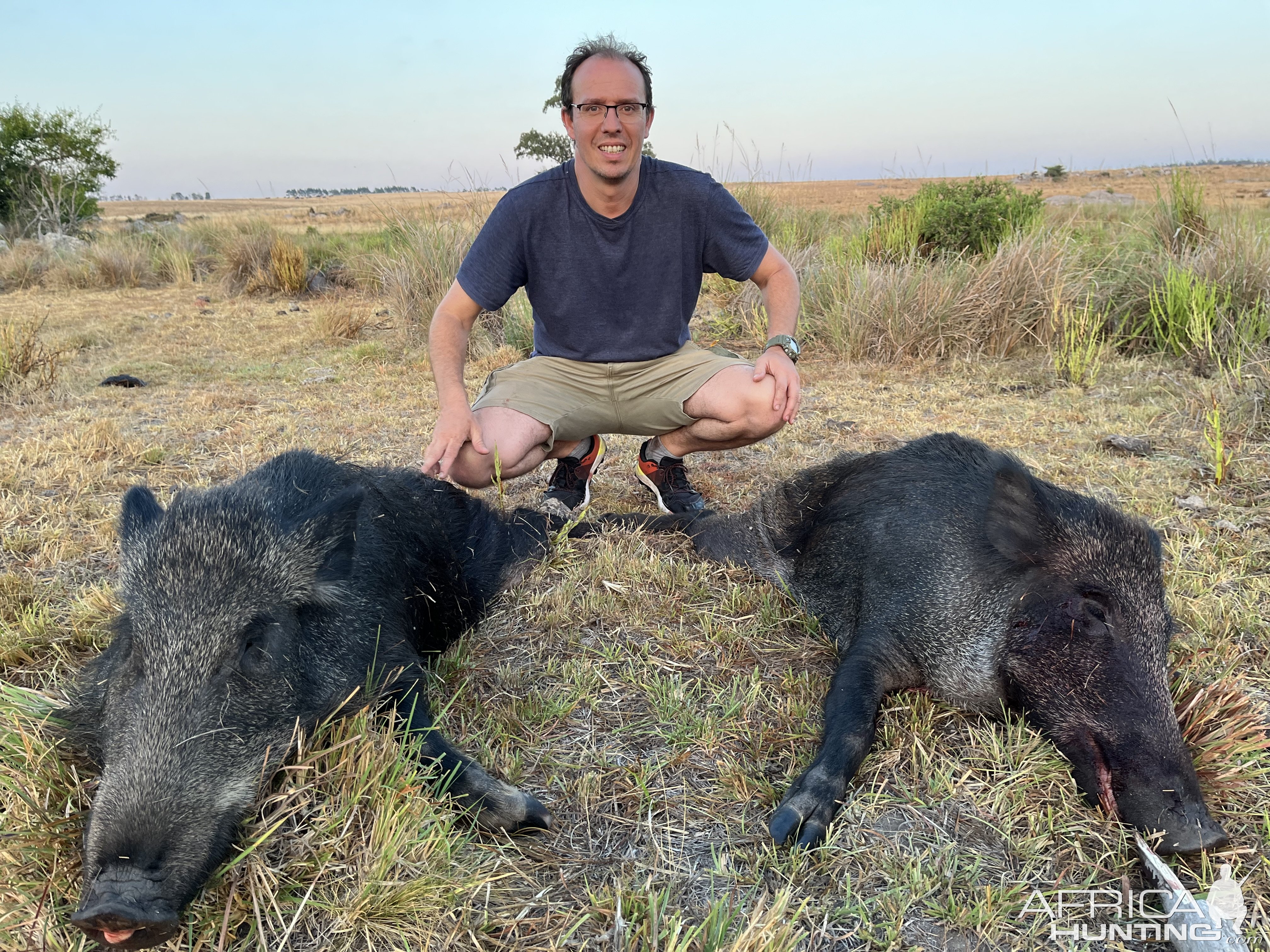 Pig Hunting
