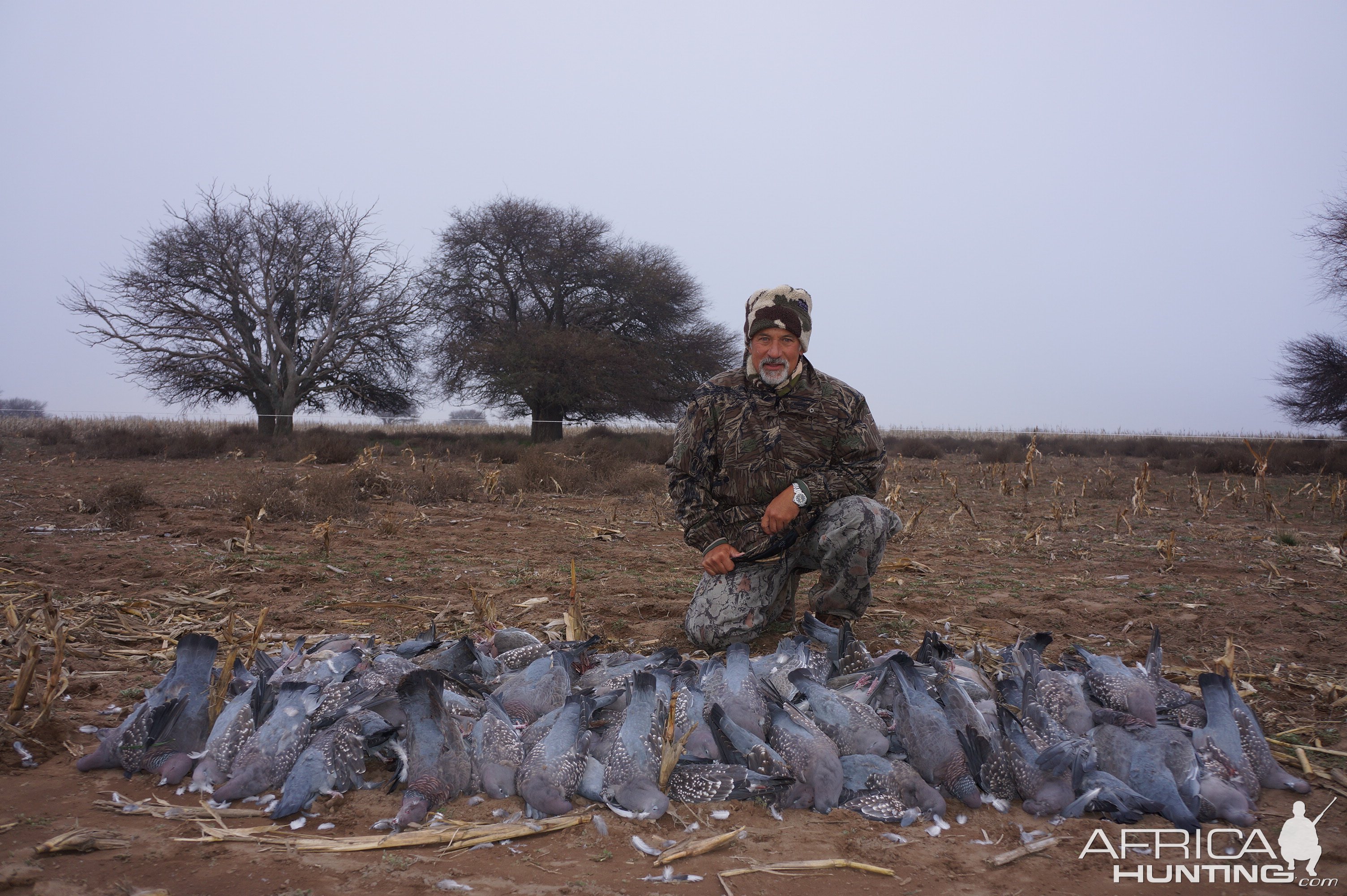 Pigeon Hunt Argentina