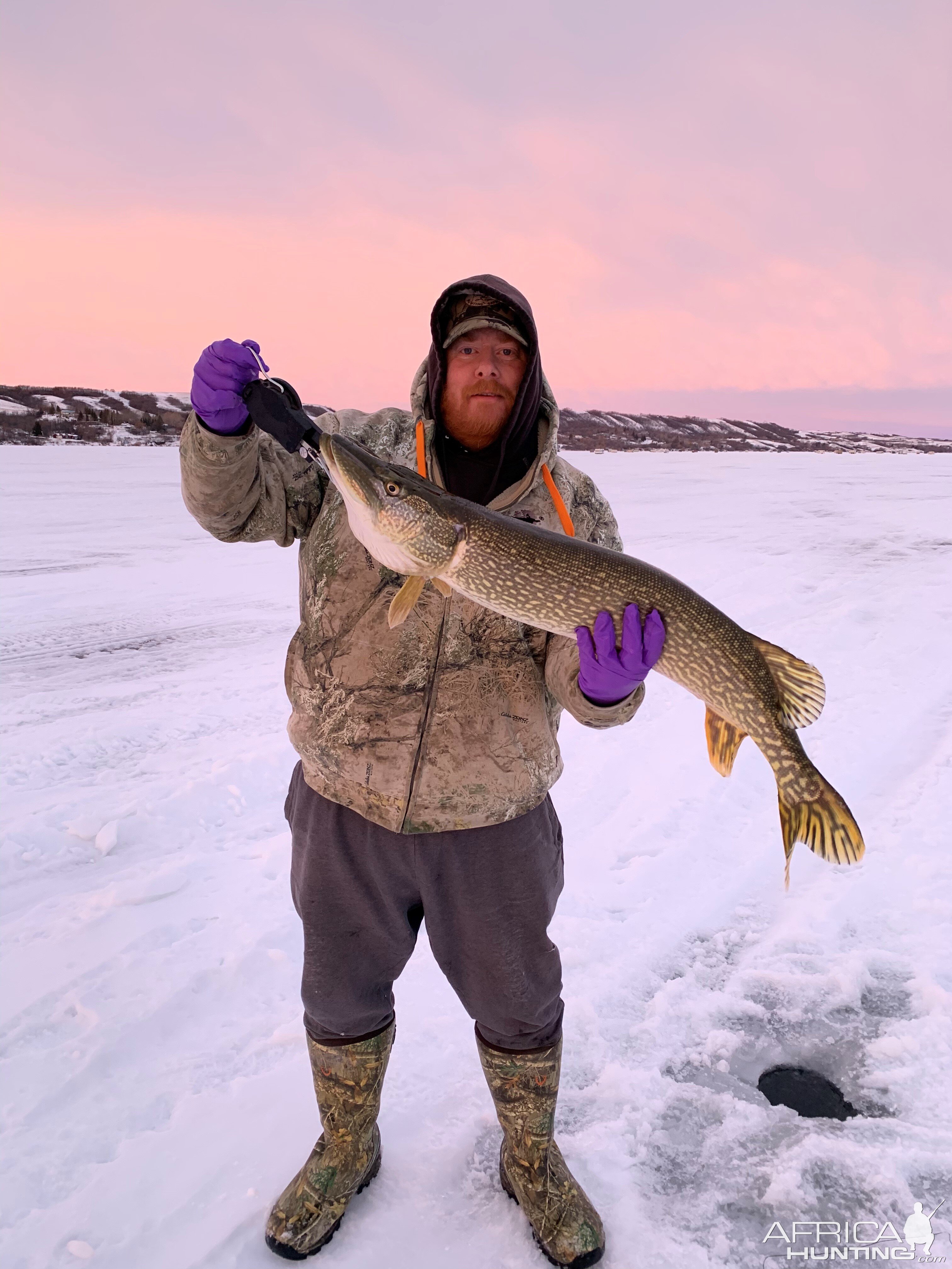 Pike Fishing