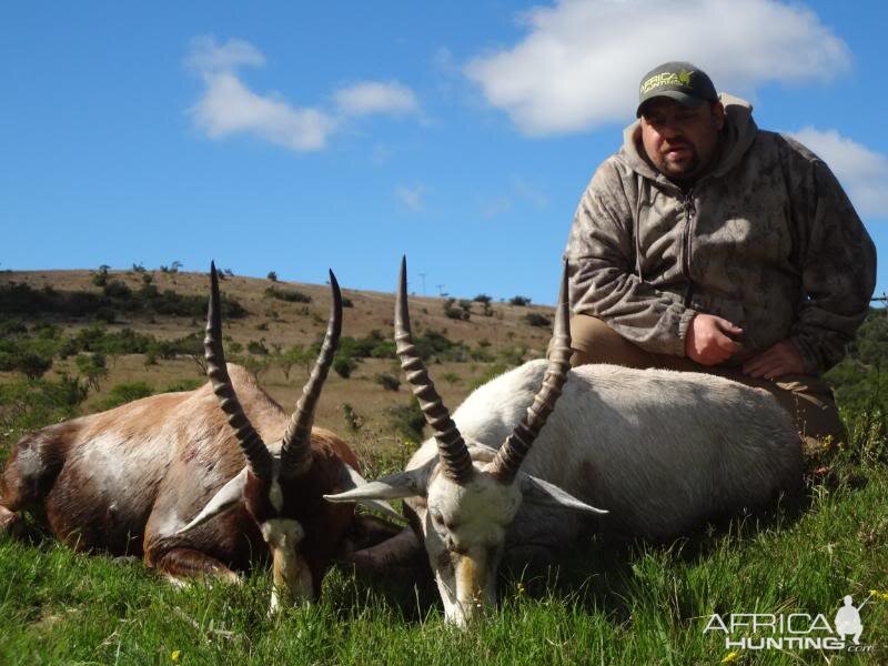 Plain & White Blesbuck Hunting