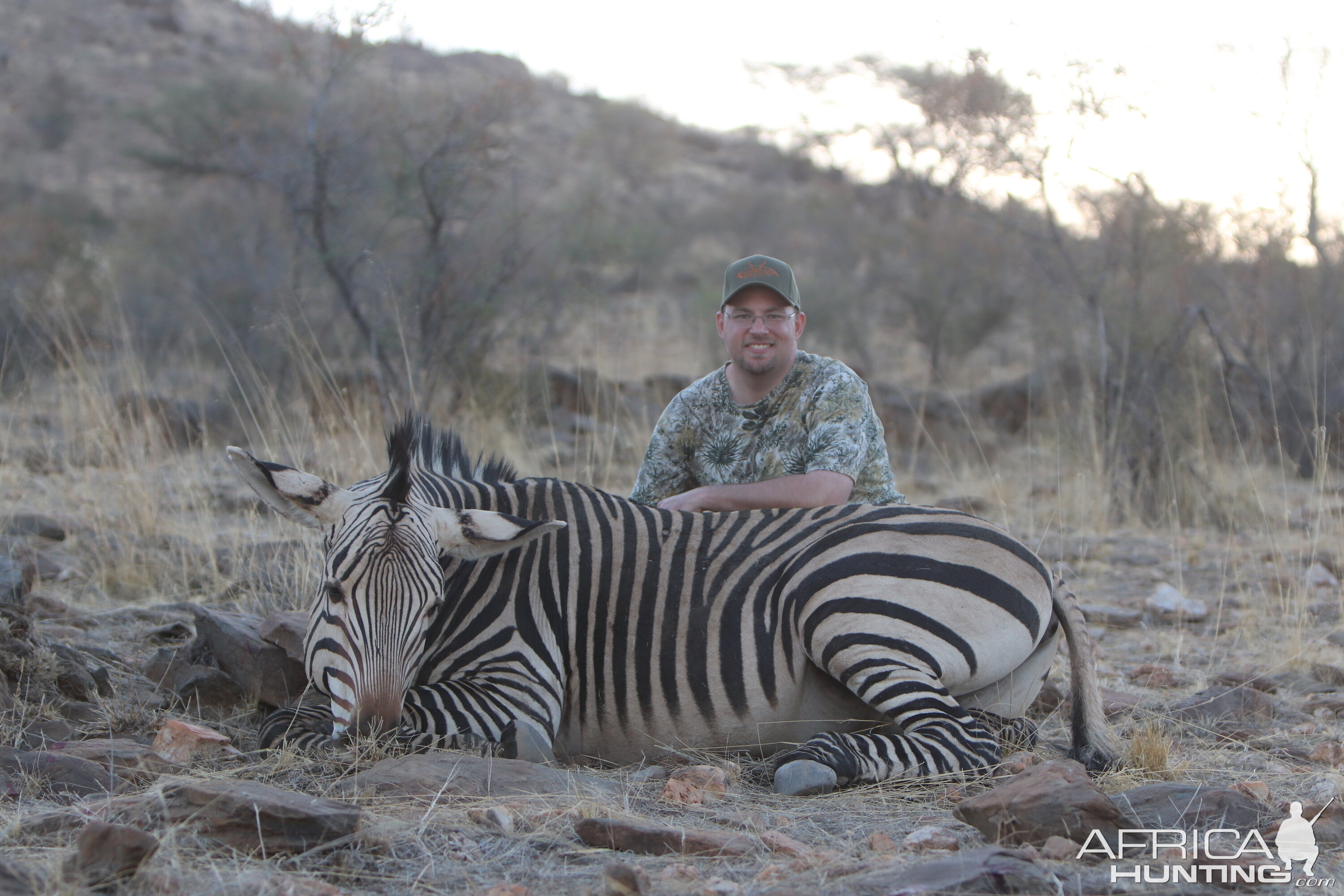Plains Zebra Hunt Khomas Highland Namibia