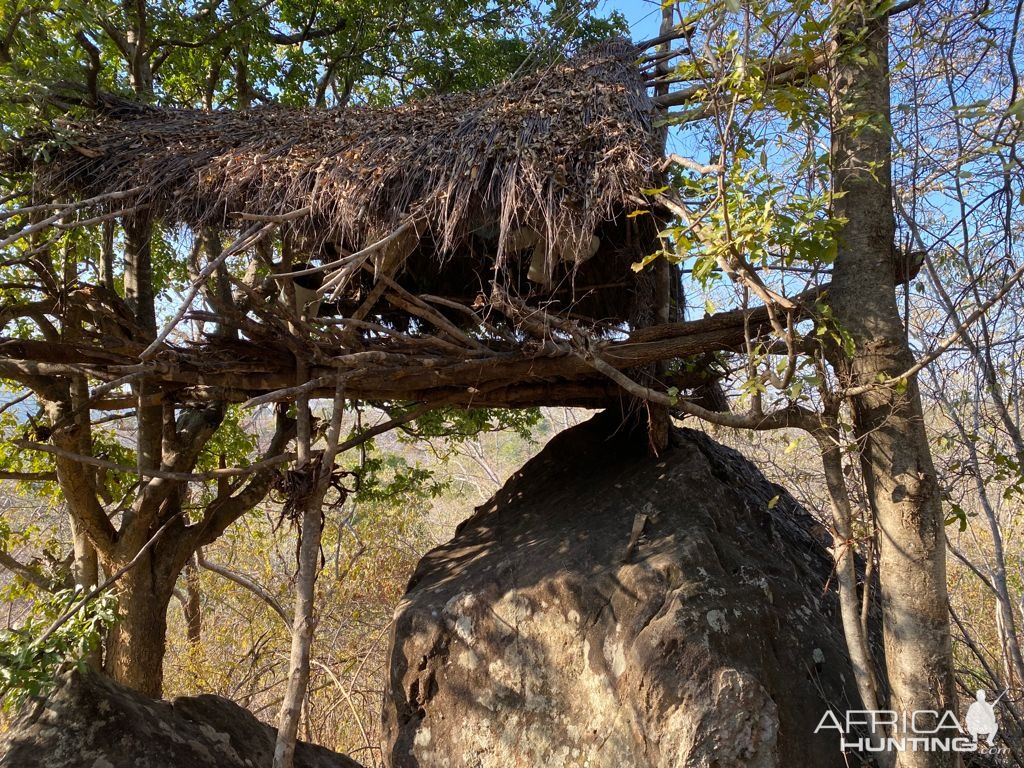 Poacher Shelter Zimbabwe