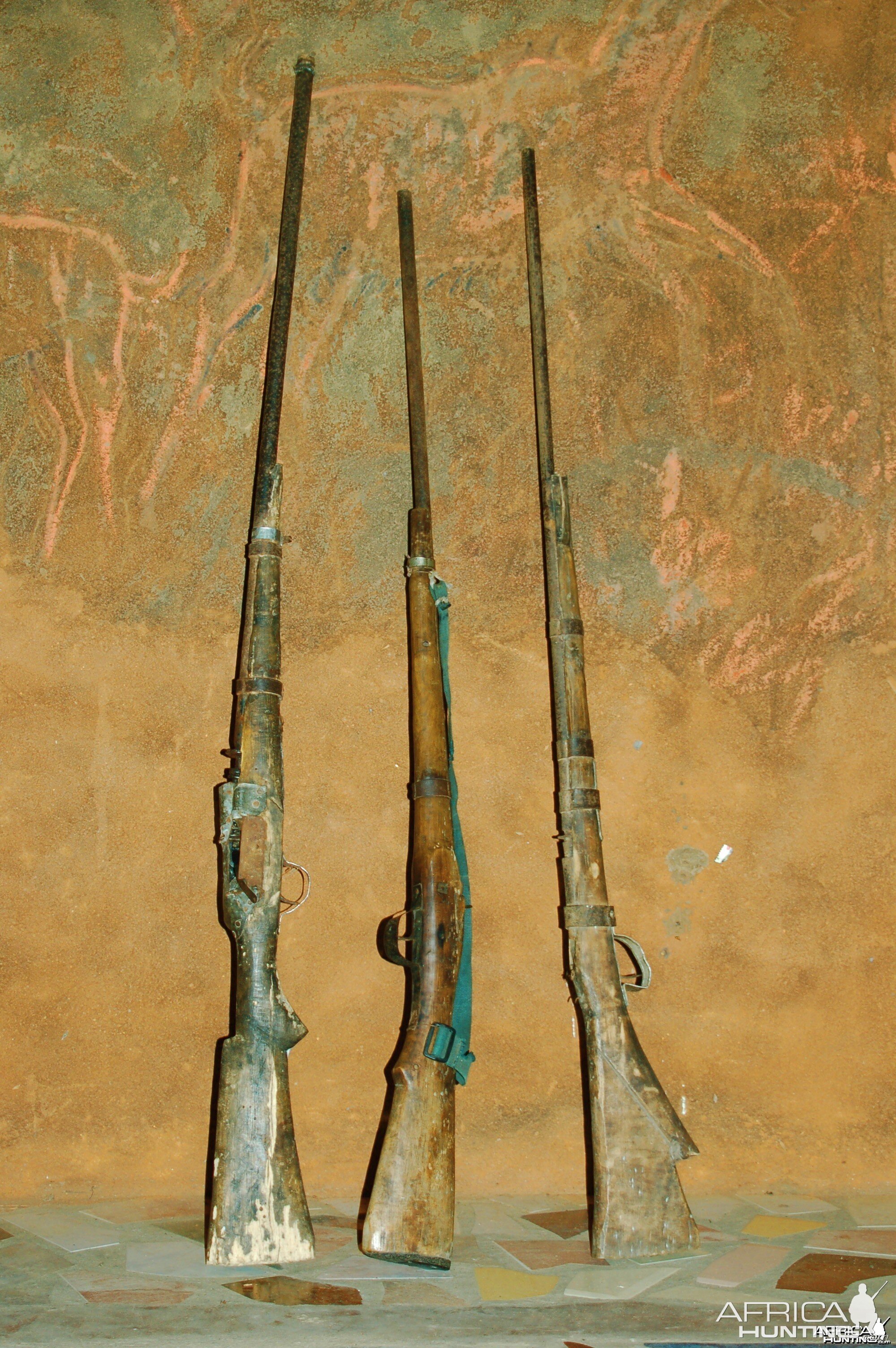 Poachers Guns