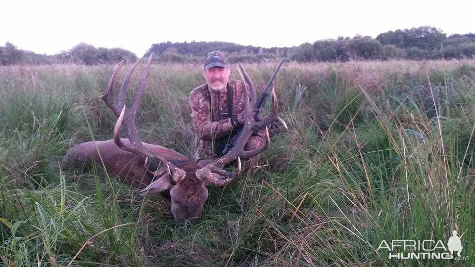 Poland Hunt Red Stag