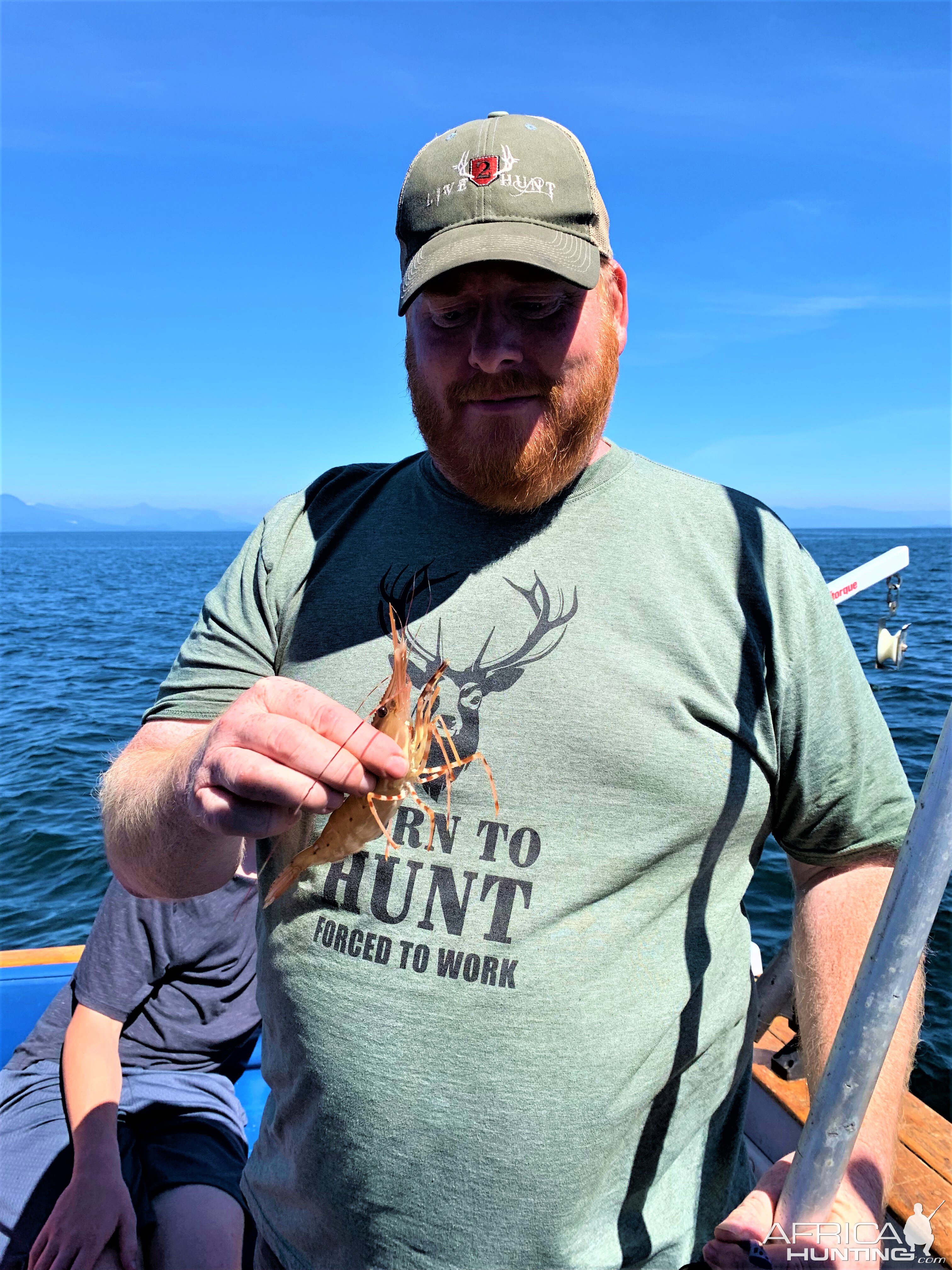 Prawns Fishing Gulf Islands Of British Columbia