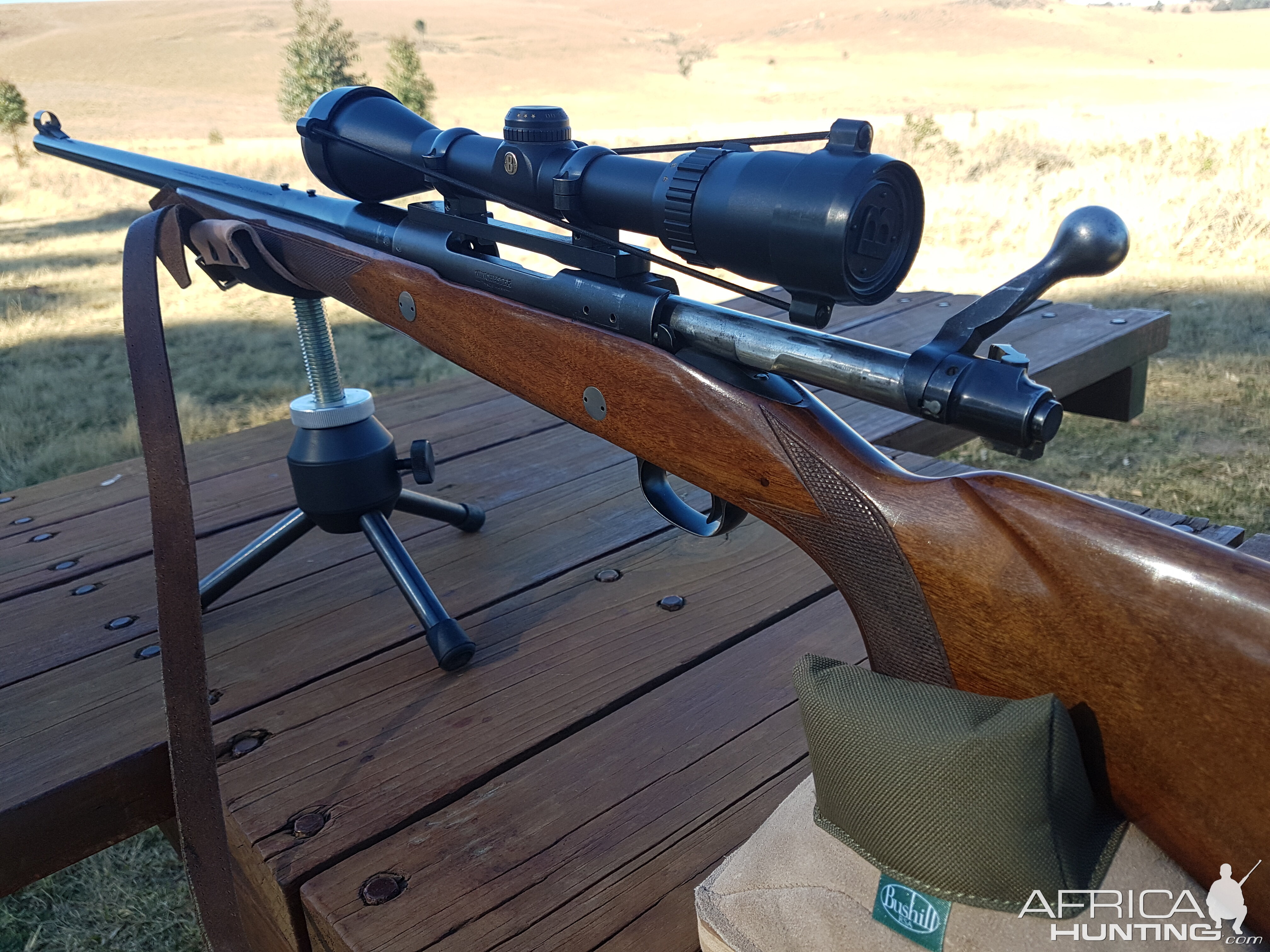 Pre64 in 375 Rifle