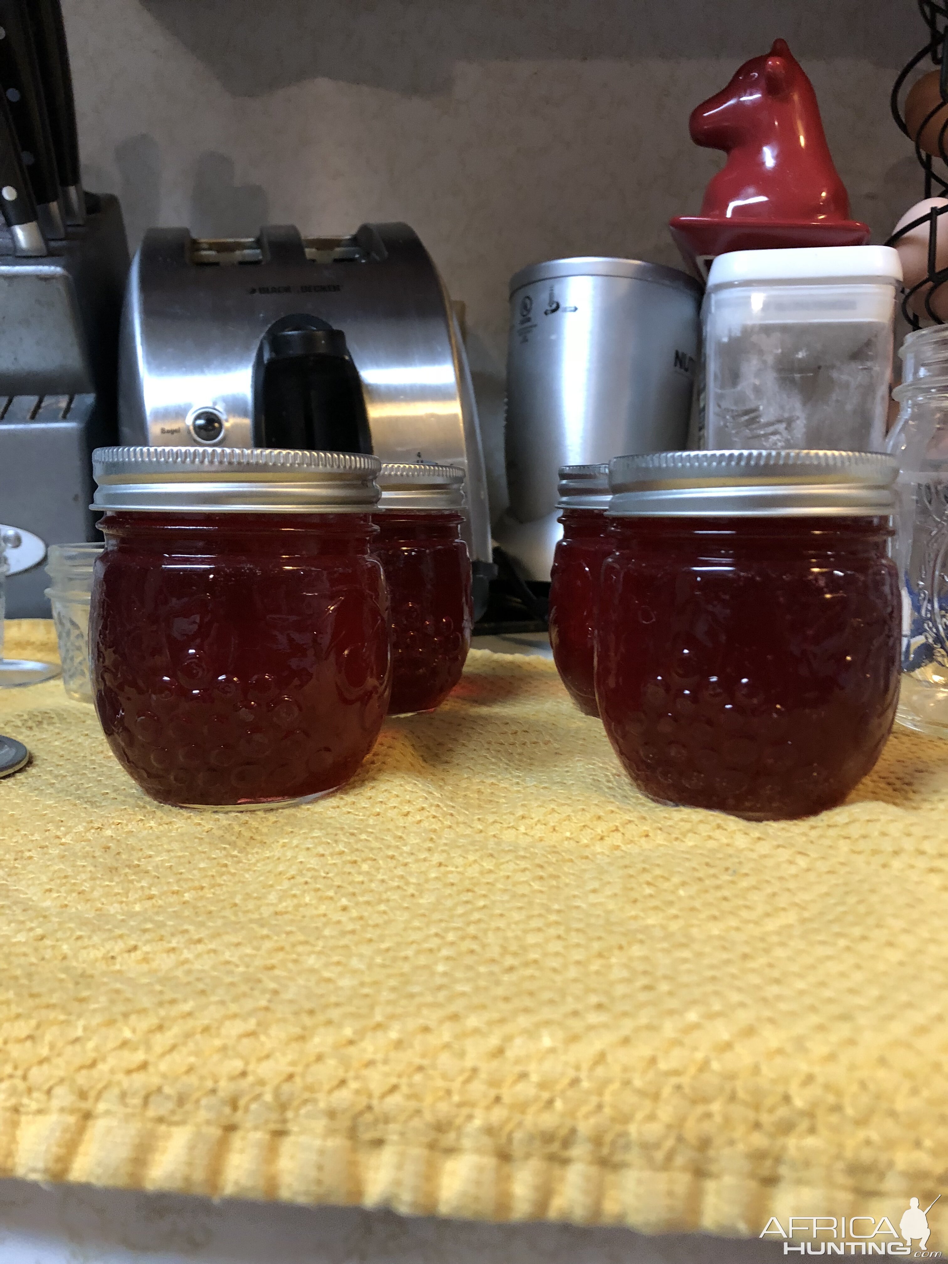 Prickly pear jelly