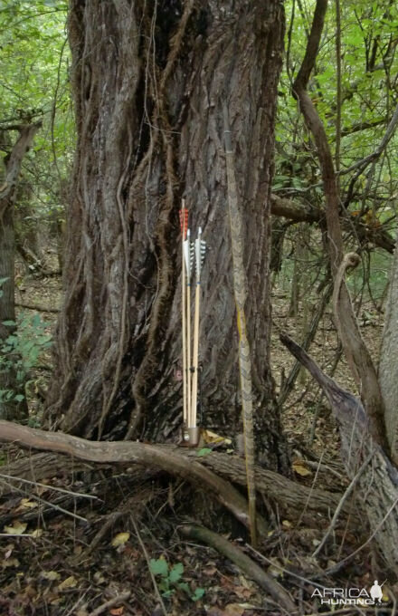 Primative bow and arrows