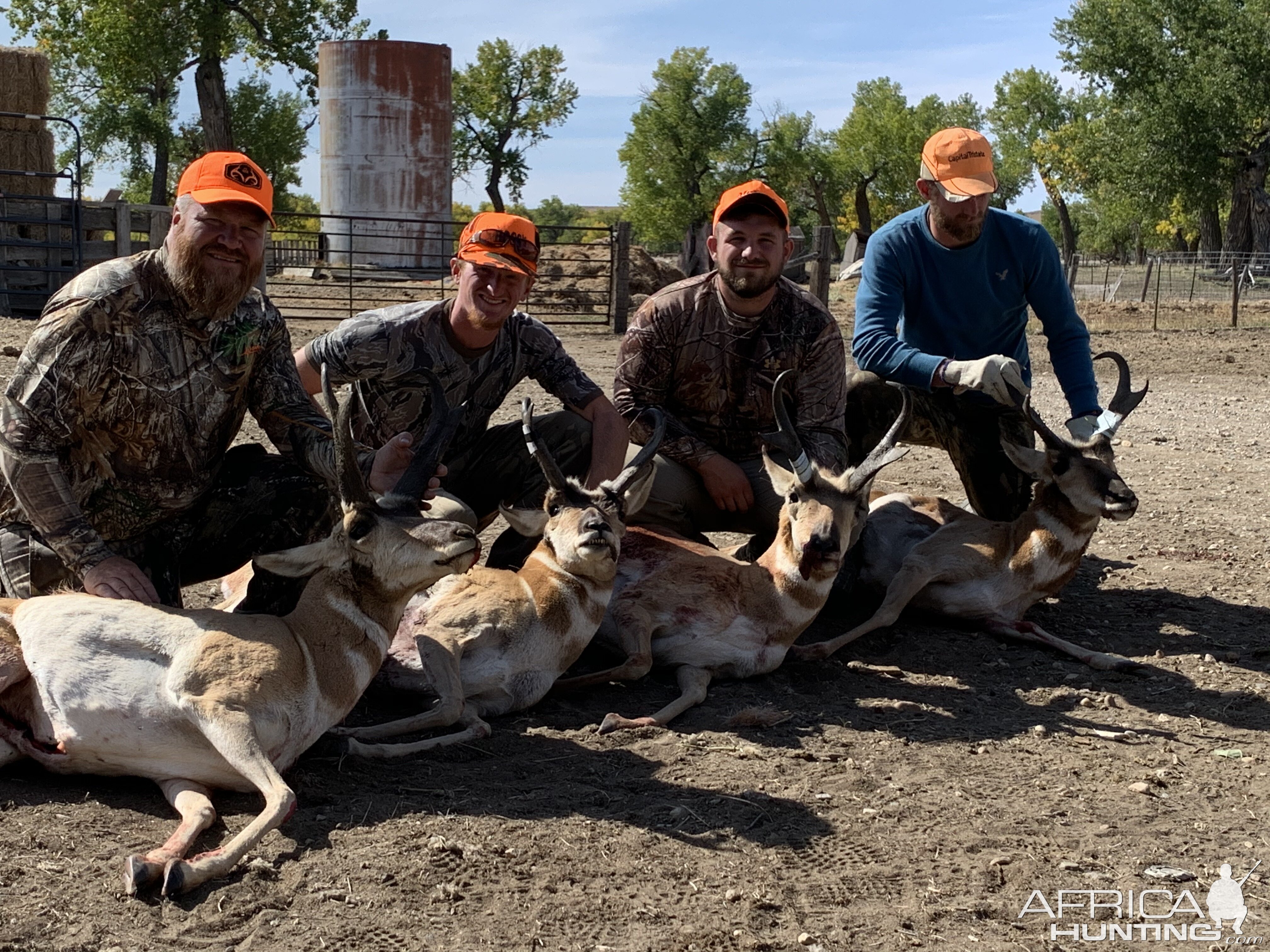 Pronghorn Hunt USA