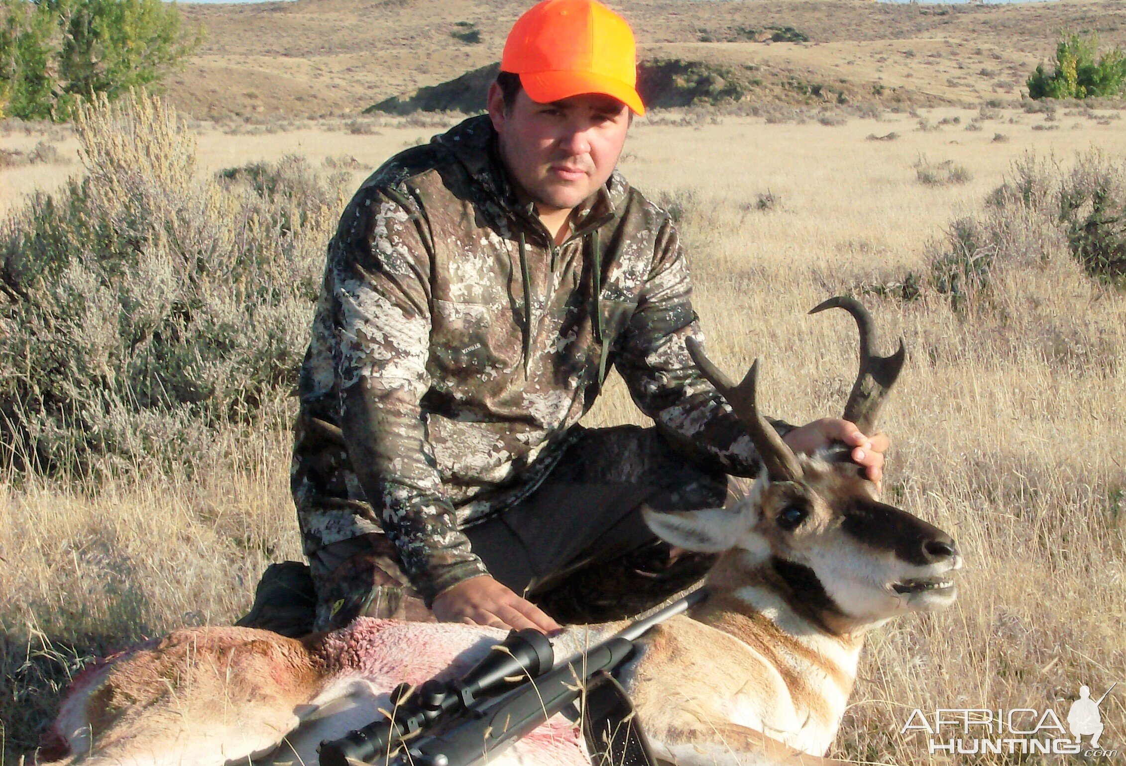 Pronghorn Hunt Wyoming USA
