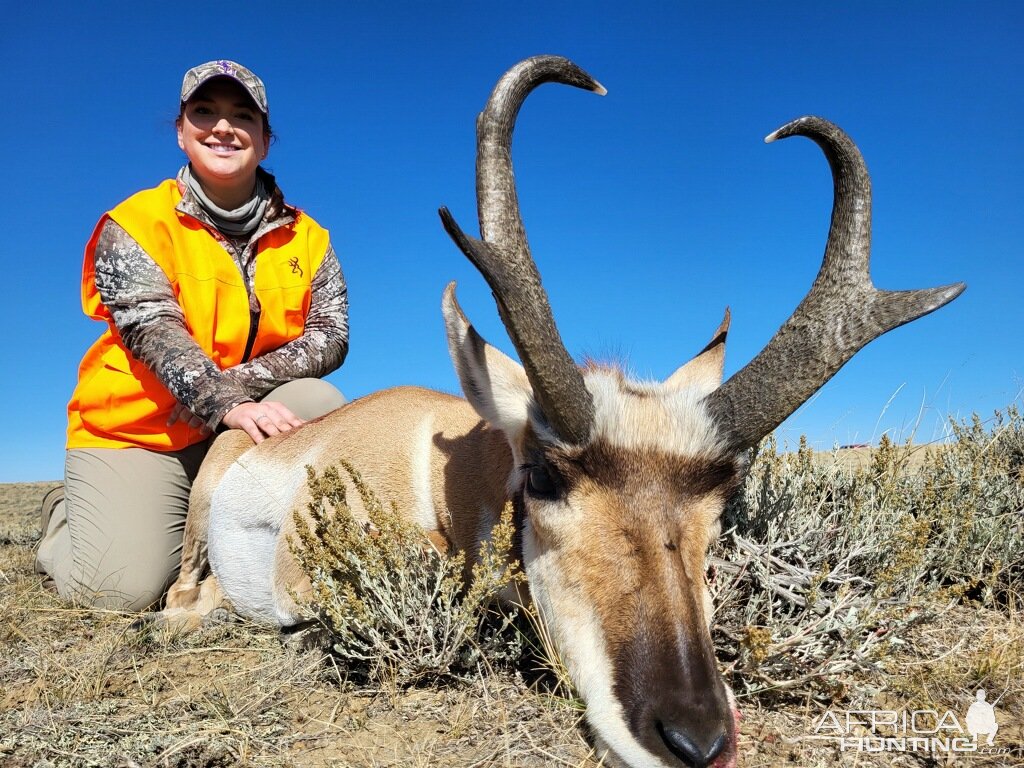 Pronghorn Hunt  Wyoming