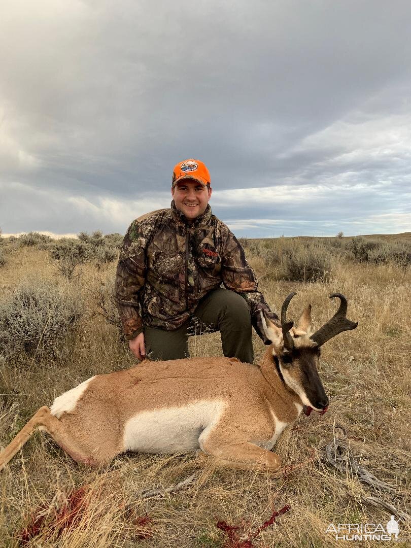 Pronghorn Hunting Wyoming USA