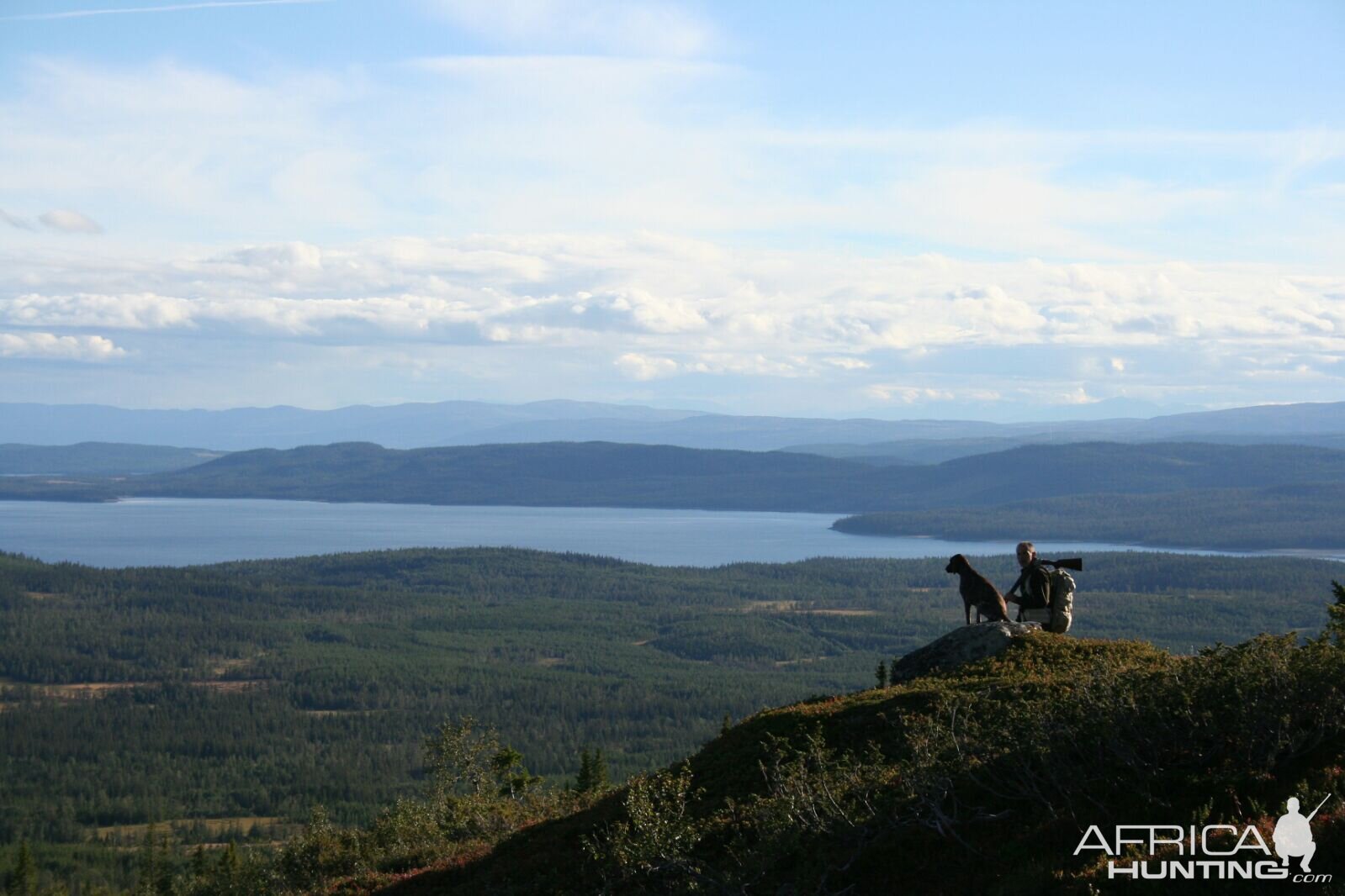 Ptarmigan Hunting over Pointing dogs, a Swedish Highland Hunt